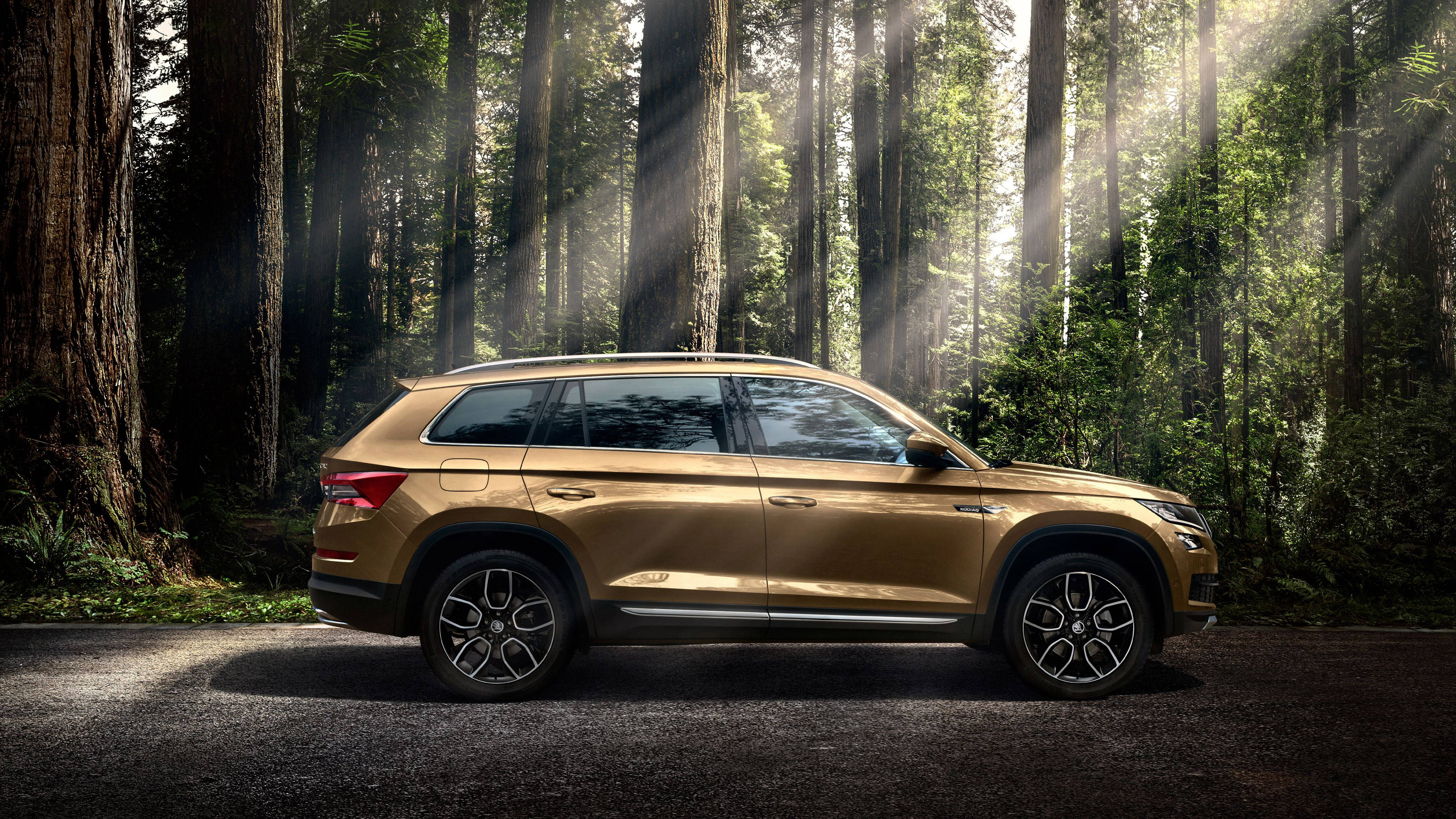 Skoda 桌布 壁紙 — 一輛金色SUV停在森林道路上，陽光穿過高聳的樹木灑落。