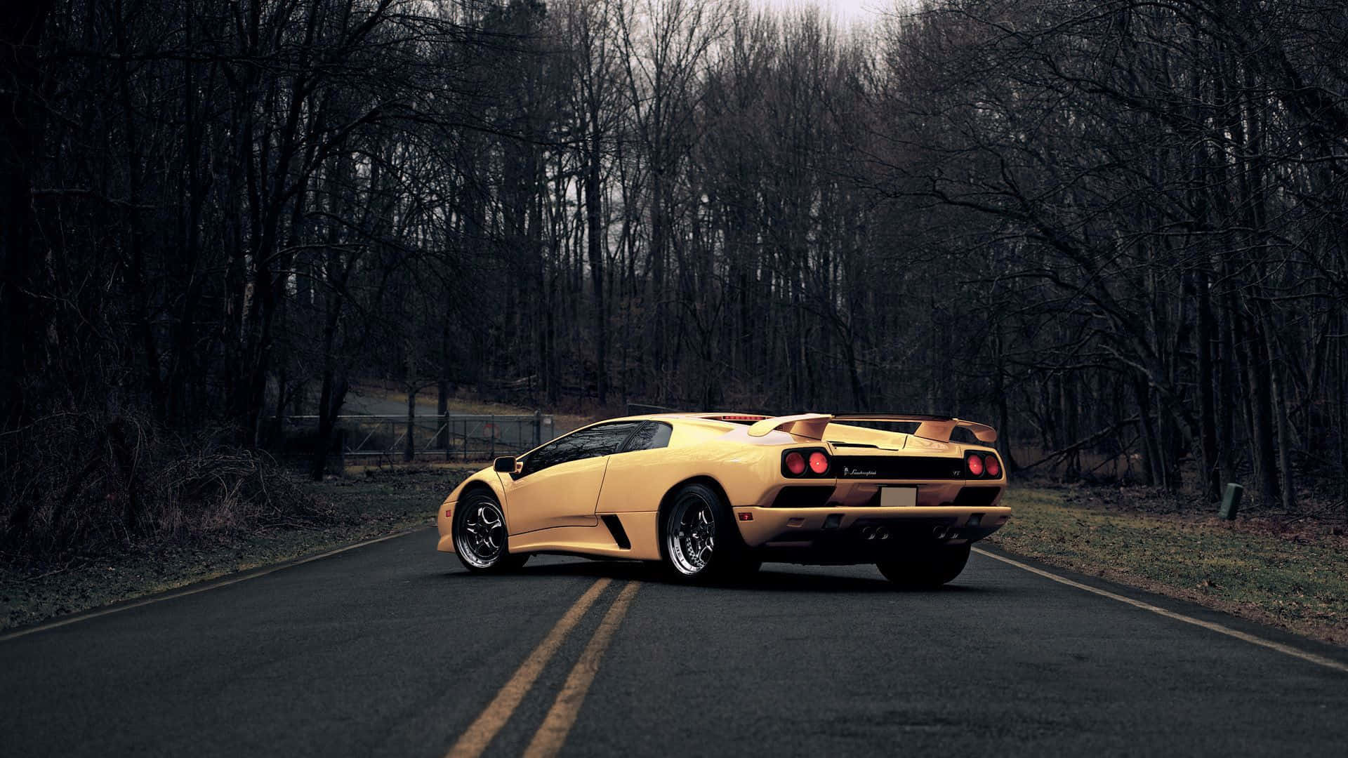 Lamborghini Diablo 桌布 壁紙 — 一輛金色藍寶堅尼 Diablo 停放在森林道路上，周圍是光禿禿的樹木，天空多雲。