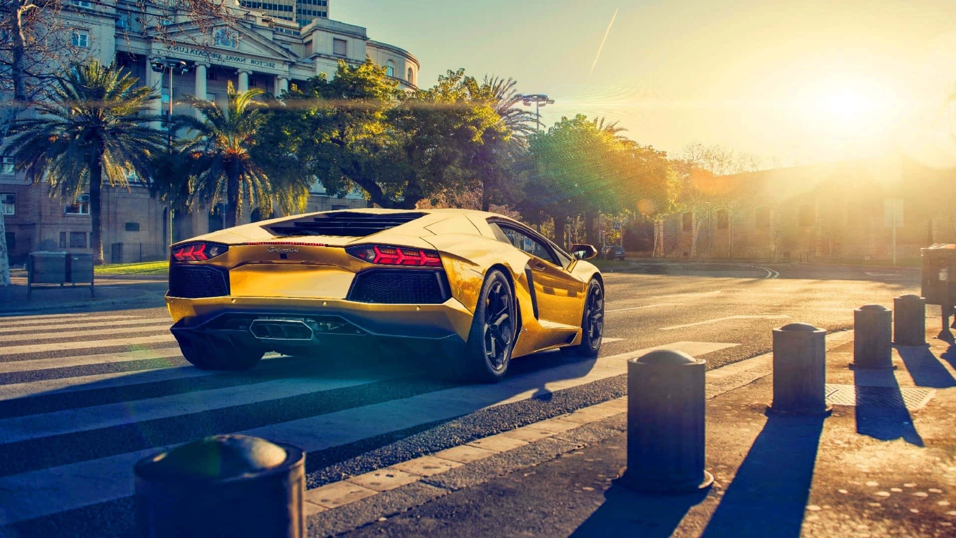 Gold Cars 桌布 壁紙 — 一輛金色藍寶堅尼Aventador停放在陽光普照的市街上，背景有棕櫚樹和古典建築。
