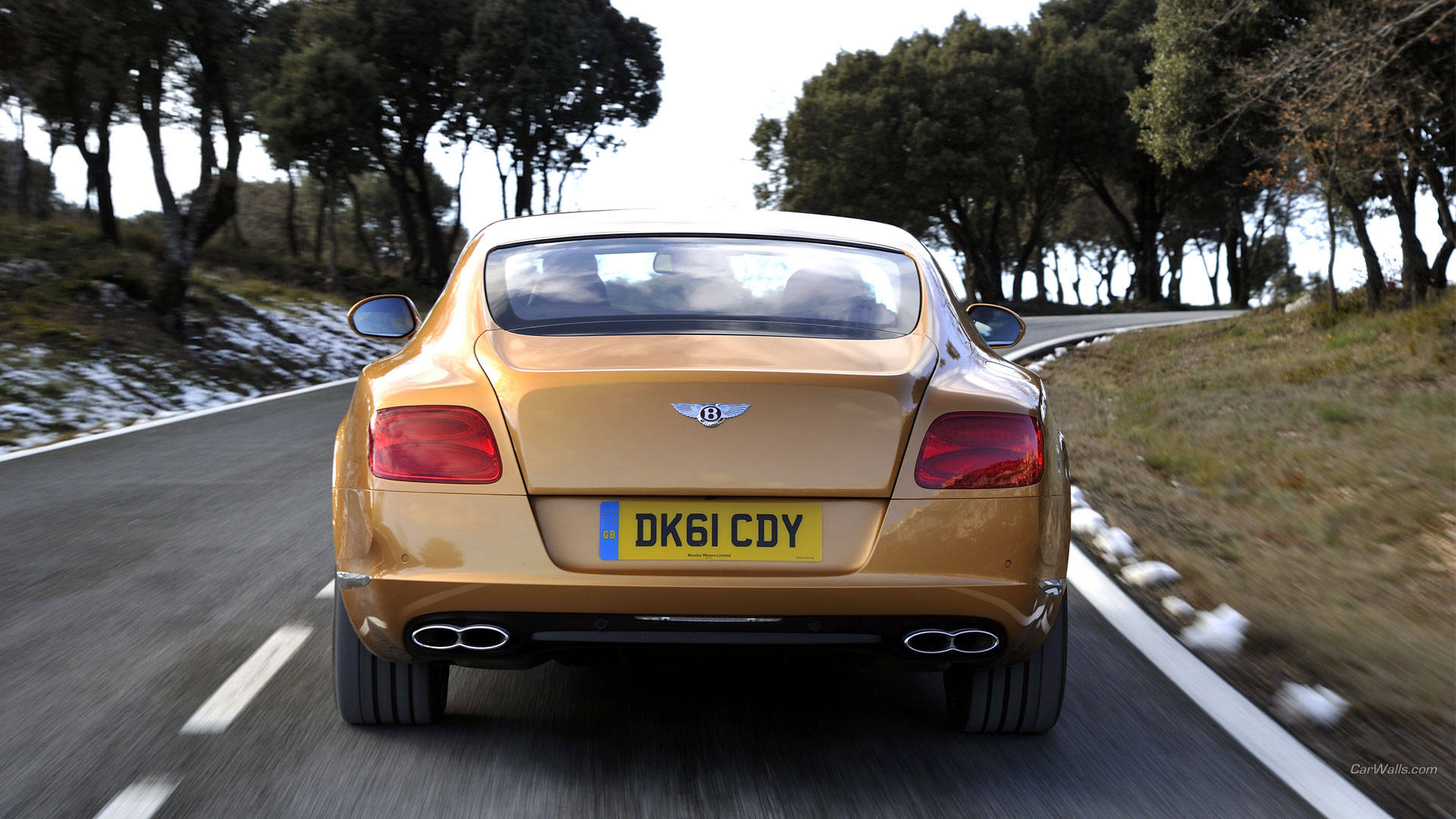 bentley HD 桌布 壁紙 — 一輛金色賓利 Continental GT 在蜿蜒的林間道路上疾馳，帶有模糊的動態效果和積雪的邊坡。