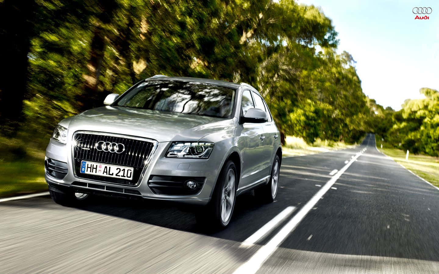 Audi Sq5 桌布 壁紙 — 一輛銀色 Audi Q7 SUV 在陽光明媚的林蔭大道上飛馳，動態模糊效果強調其動感。