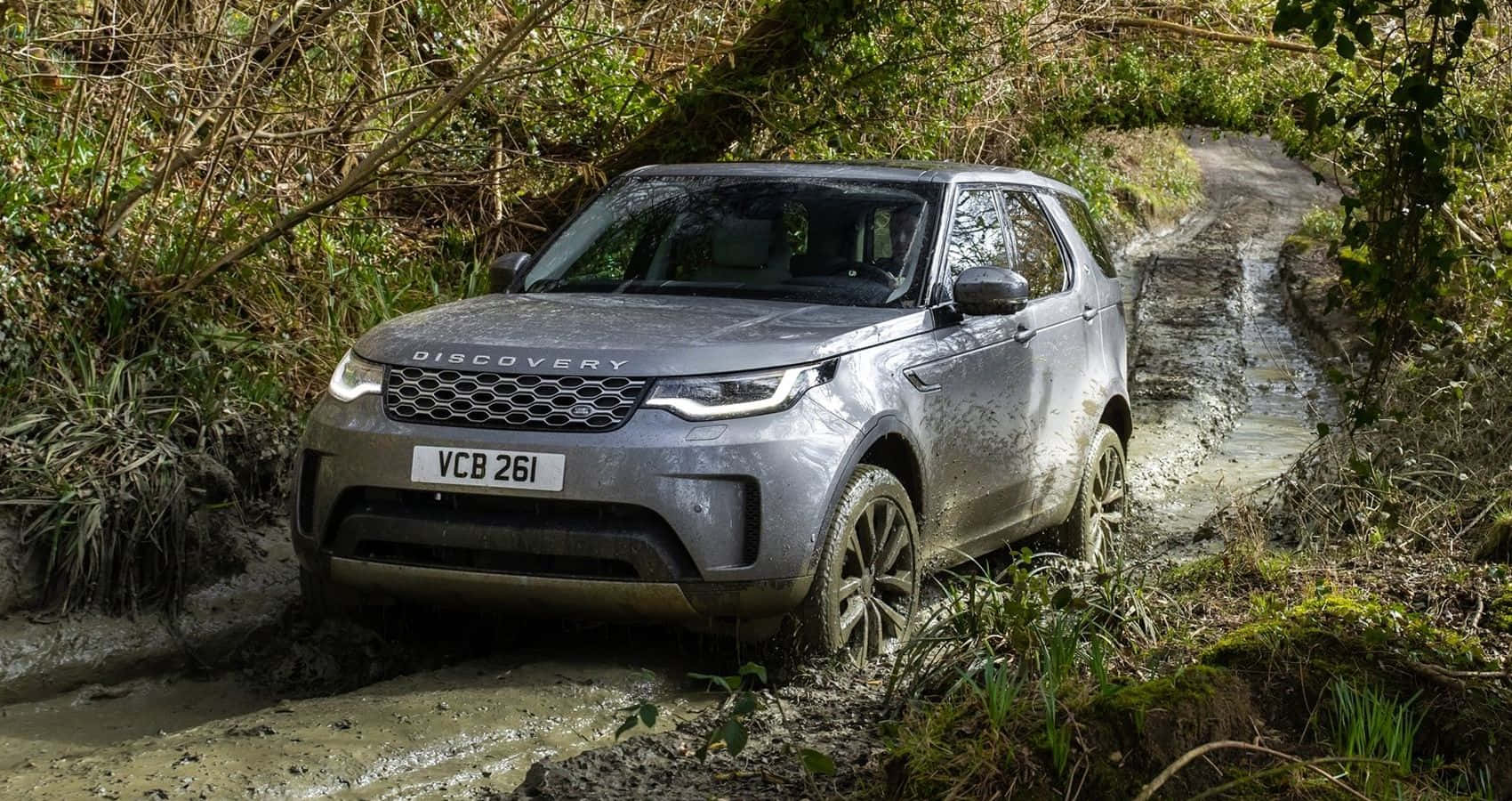 Land Rover Discovery 桌布 壁紙 — 一輛銀色 Land Rover Discovery 在泥濘的森林小徑上行駛，周圍是茂密的綠色樹葉和潮濕的泥土。