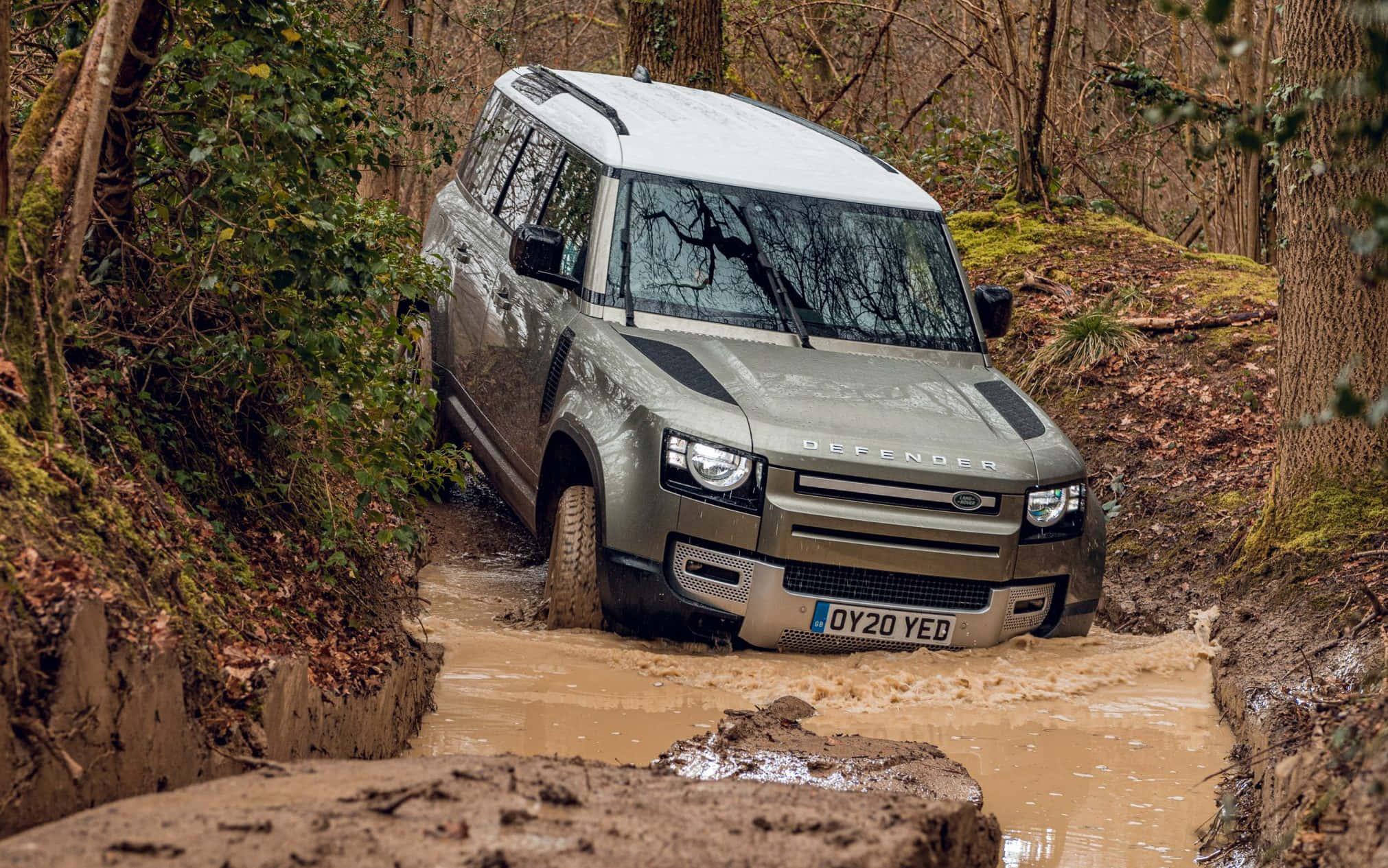 Land Rover Defender 桌布 壁紙 — 一輛銀色 Land Rover Defender 在茂密森林樹葉環繞的深泥溝中行駛。