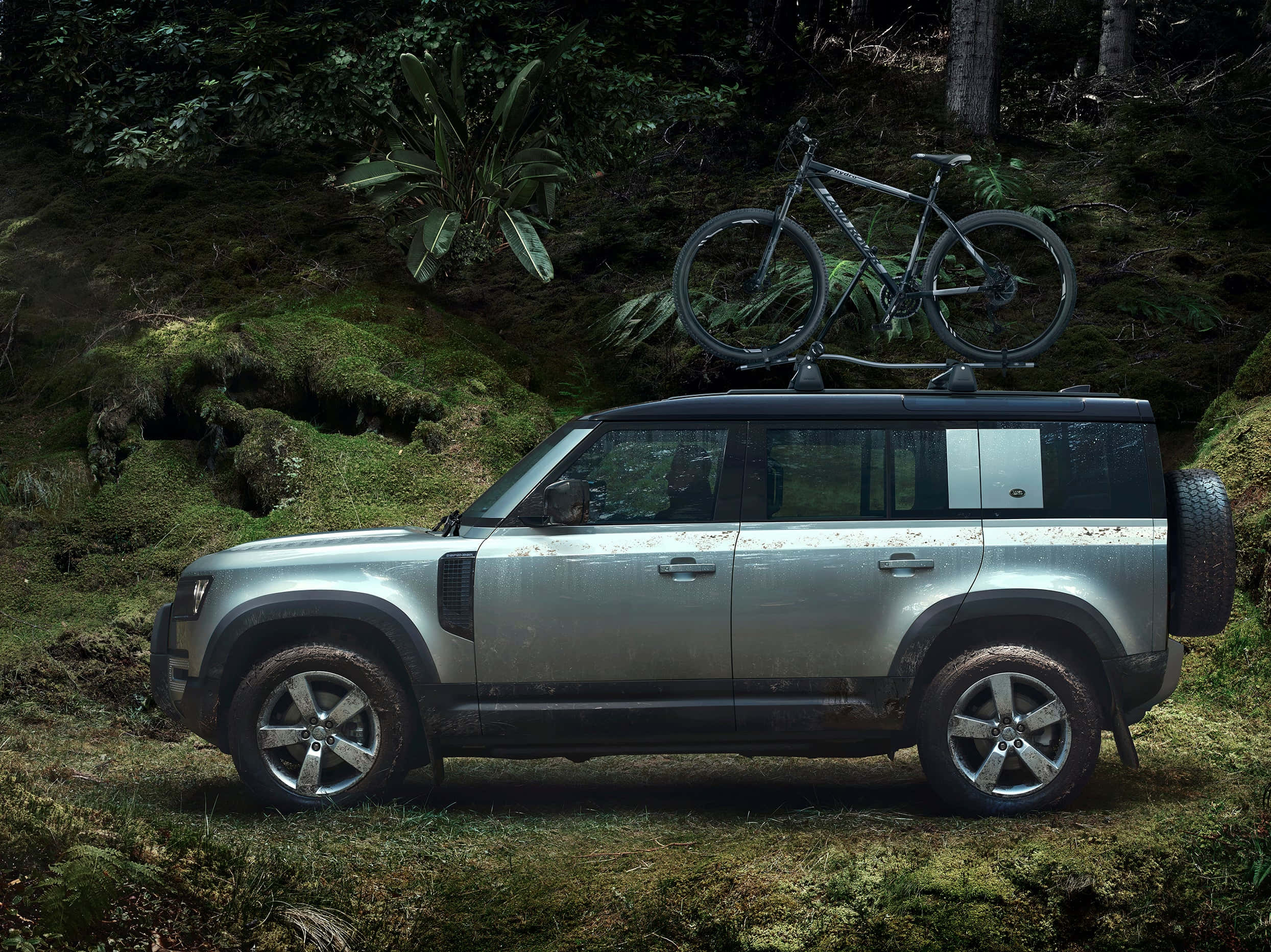 Land Rover Defender 桌布 壁紙 — 一輛銀色 Land Rover Defender 沾滿泥濘，停放在長滿苔蘚的森林中，車頂行李架上裝有一輛登山自行車。