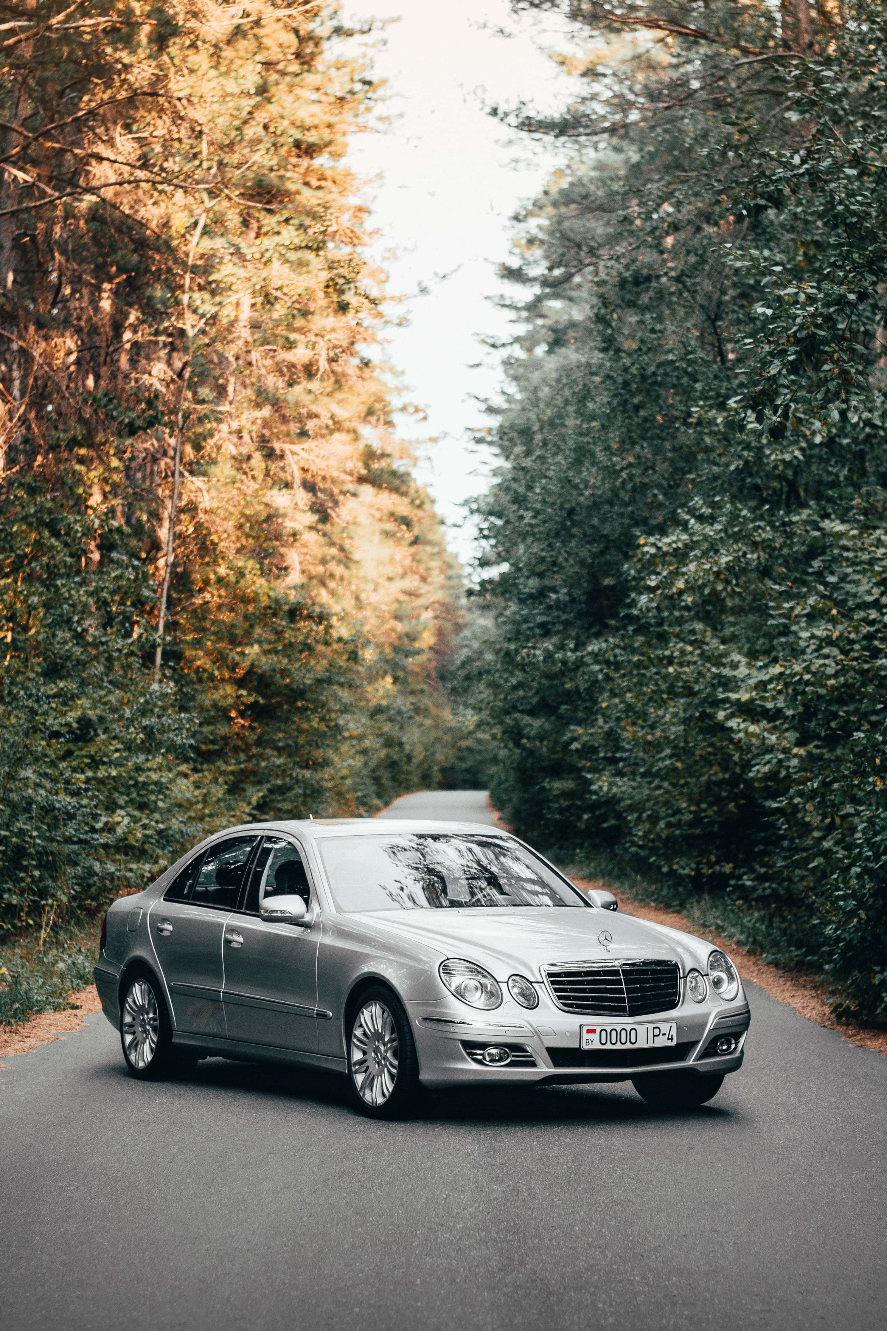 Mercedes Benz Clase E 桌布 壁紙 — 一輛銀色 Mercedes 轎車在樹木成蔭的森林道路上行駛，沐浴在溫暖的秋日陽光中。