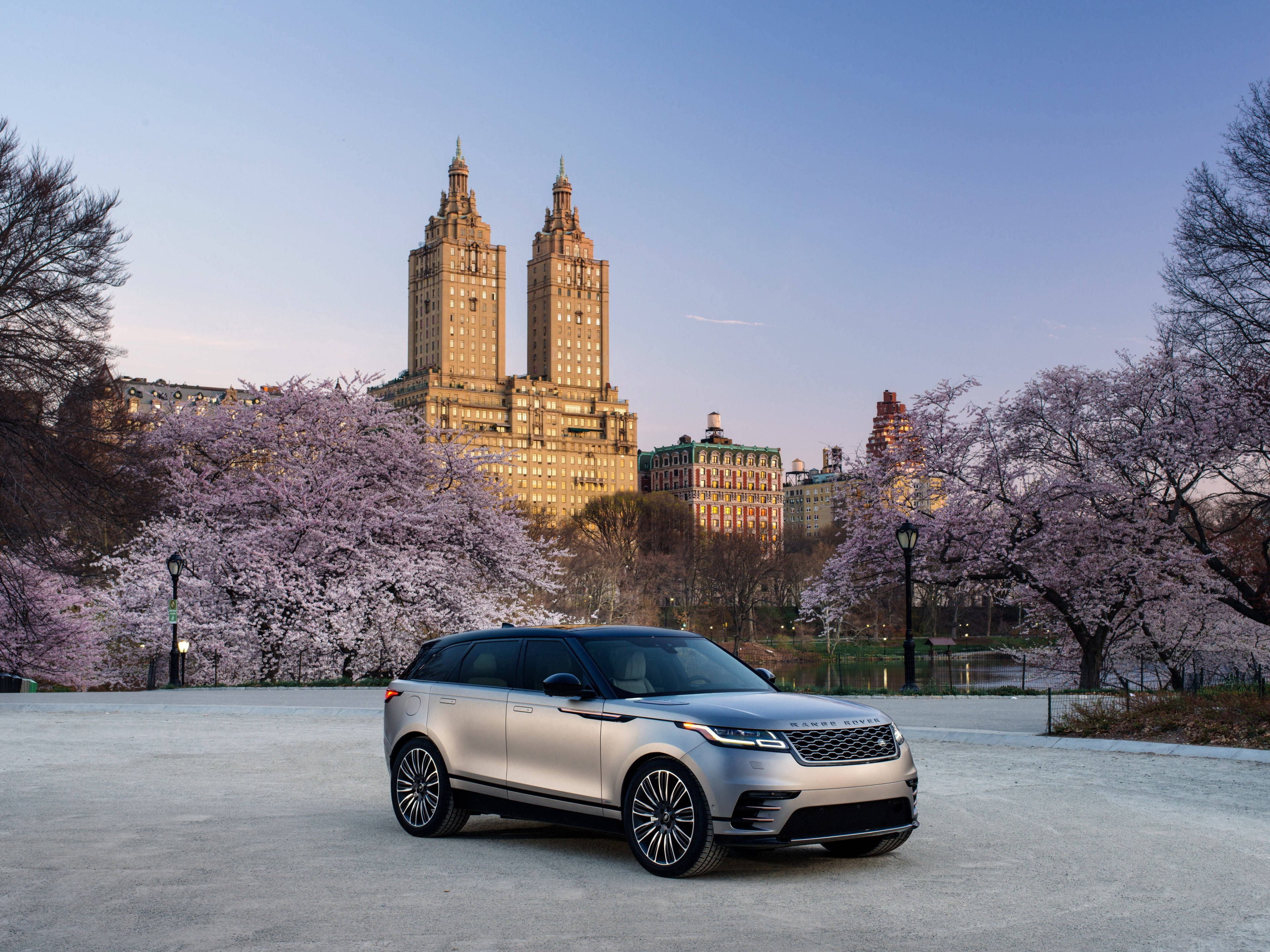 高清 桌布 壁紙 — 一輛銀色 Range Rover Sport 停泊在公園內，背景有盛開的粉紅色櫻花樹和標誌性雙塔建築，正值日落時分。