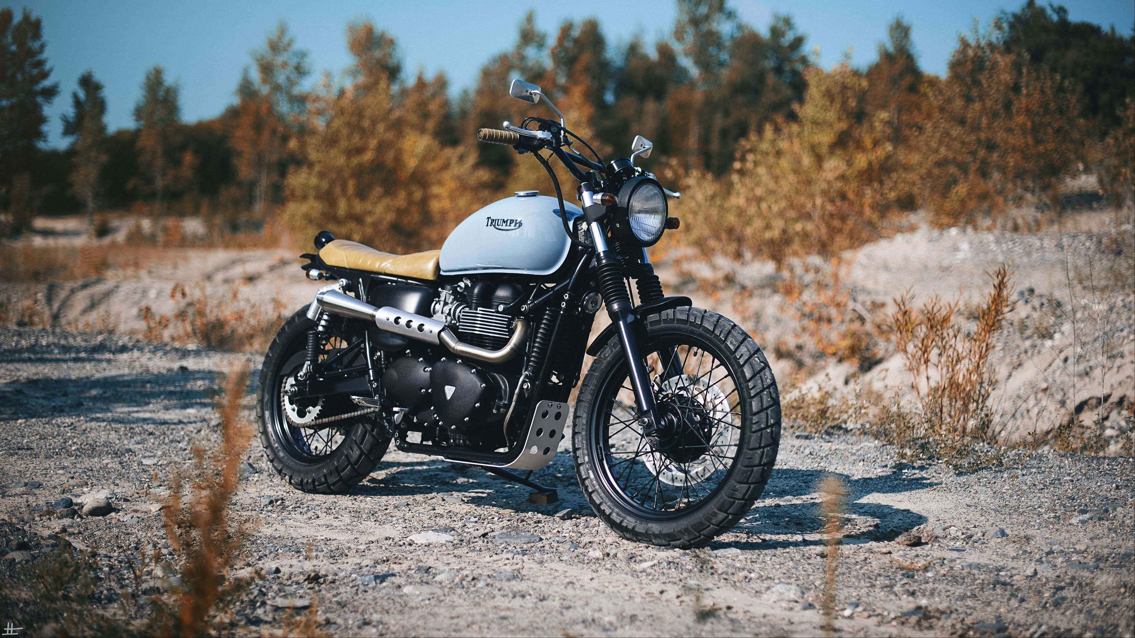 4K Bikes 桌布 壁紙 — 一輛銀色 Triumph 摩托車搭配棕褐色座椅，停放在碎石地上，四周環繞著秋日樹木，天空清澈湛藍。
