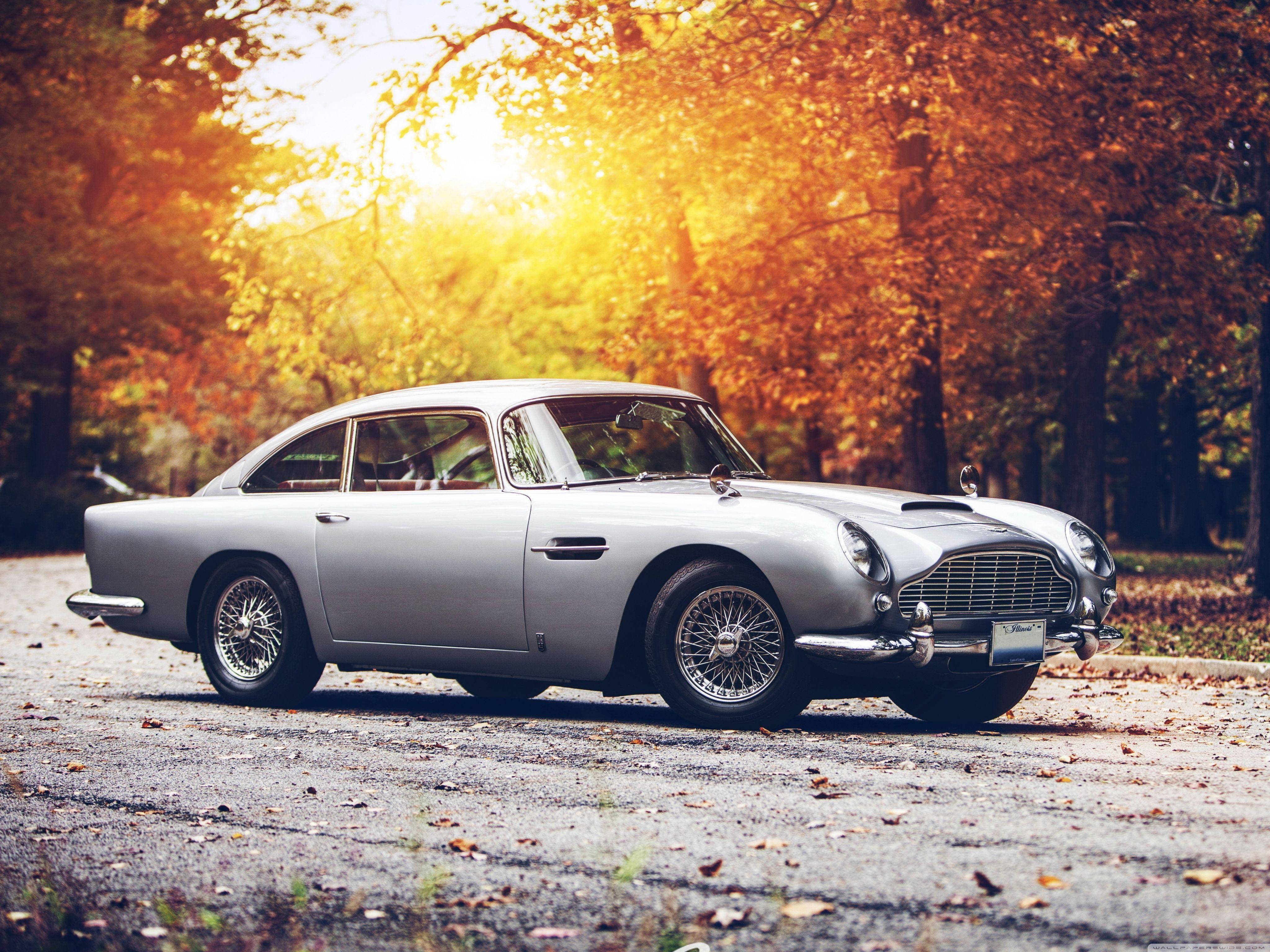 跑車 桌布 壁紙 — 一輛銀色Aston Martin DB5在金色秋日陽光穿過鮮豔橙色樹木的照耀下閃閃發光。