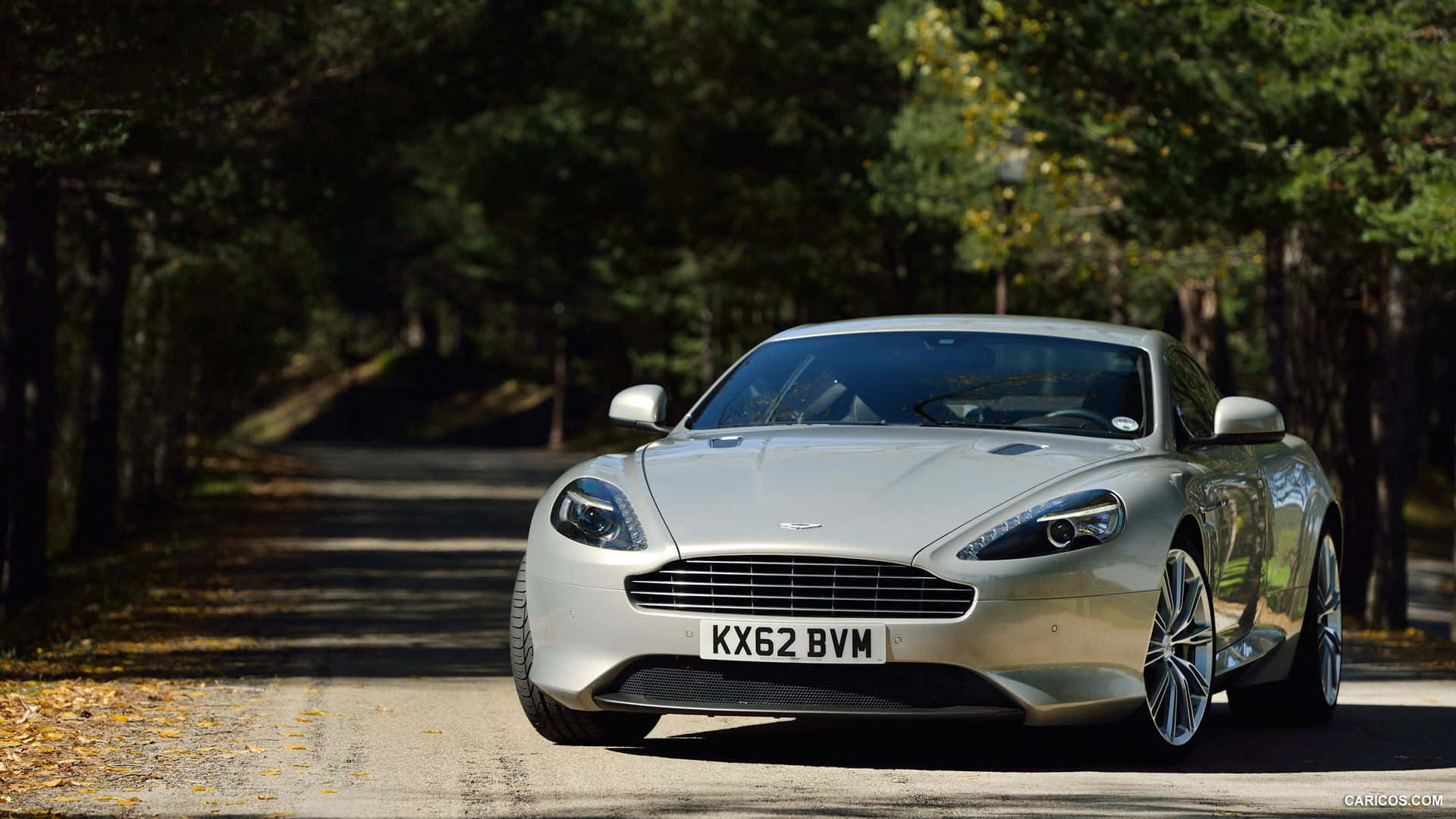 Aston Martin Db9 桌布 壁紙 — 一輛銀色Aston Martin跑車在陽光明媚的森林道路上滑行，兩旁是秋天的樹木。