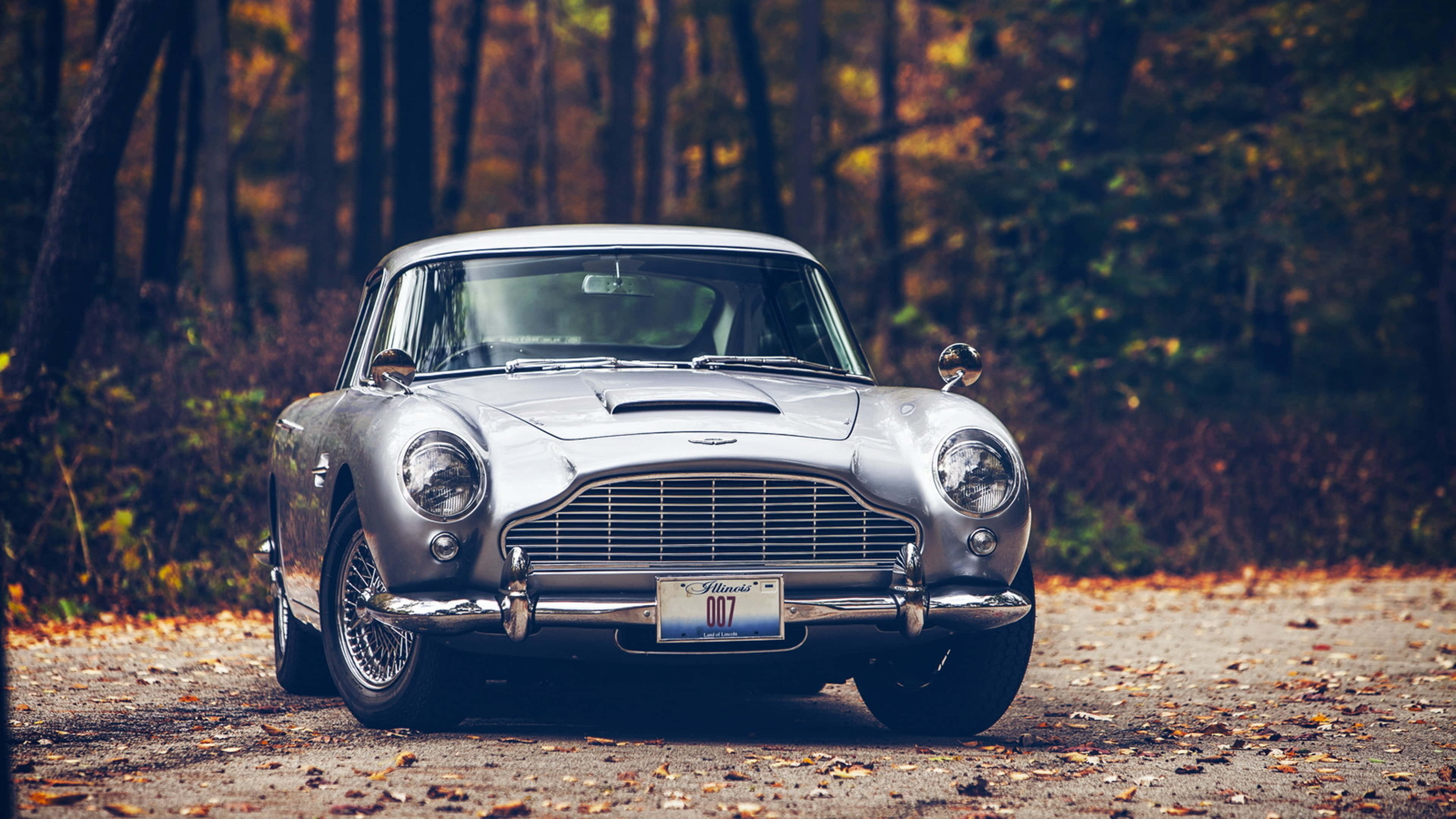 奧斯頓馬丁 桌布 壁紙 — 一輛銀色Aston Martin DB5停放在落葉鋪滿的森林道路上，周圍是秋天的樹木。