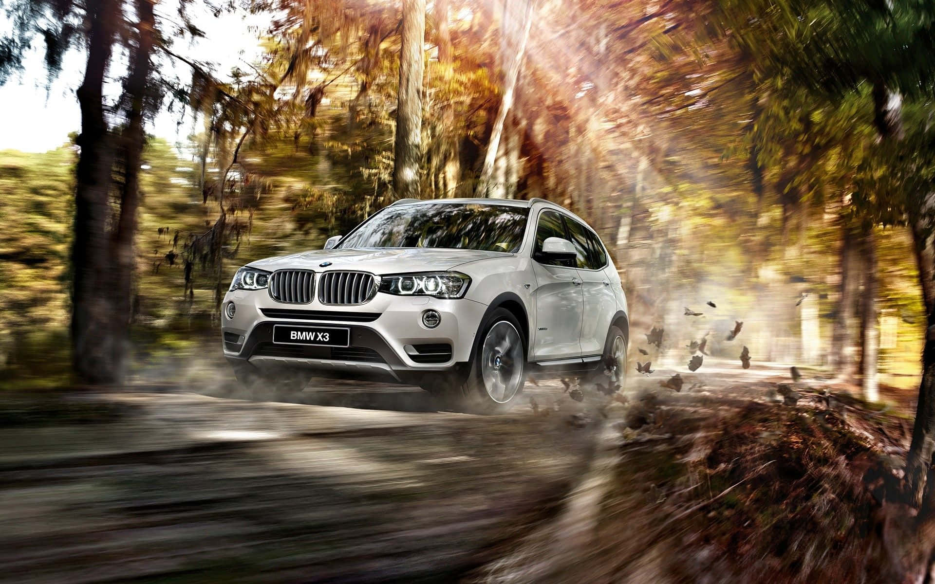 Bmw X3 桌布 壁紙 — 一輛銀色BMW X3 SUV在陽光明媚的秋林中疾馳，揚起樹葉和塵土，形成動態模糊效果。