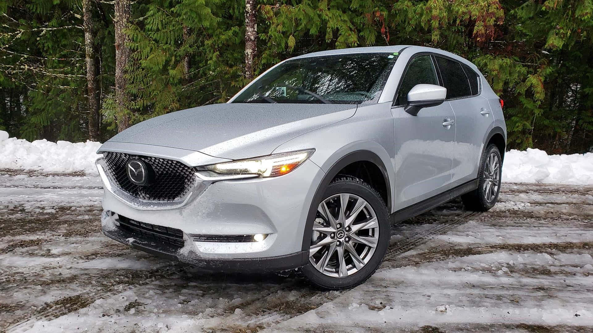 Mazda Cx-30 桌布 壁紙 — 一輛銀色Mazda CX-5 SUV停放在積雪的森林道路上，背景是常綠樹。