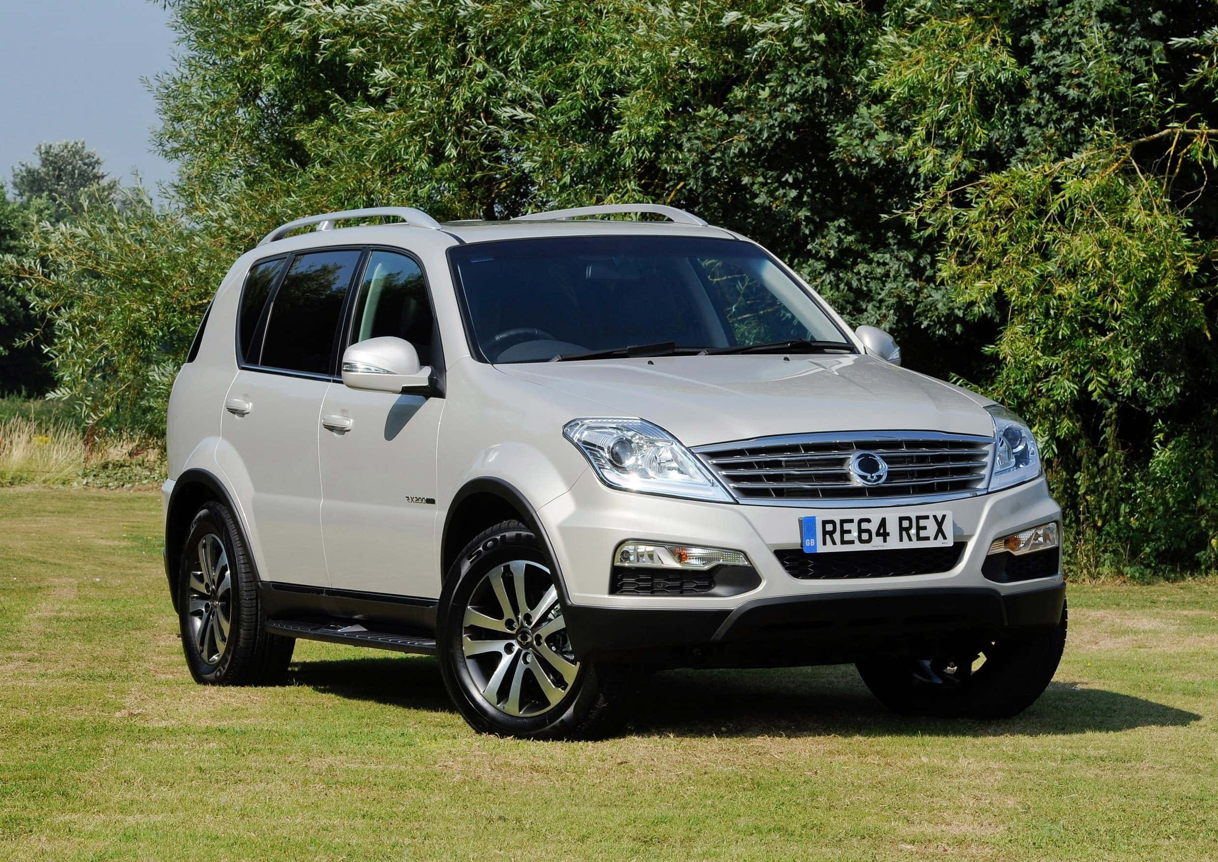 Ssangyong 桌布 壁紙 — 一輛銀色SUV停放在草地上，背後有茂密的綠樹，在明亮的日光下。