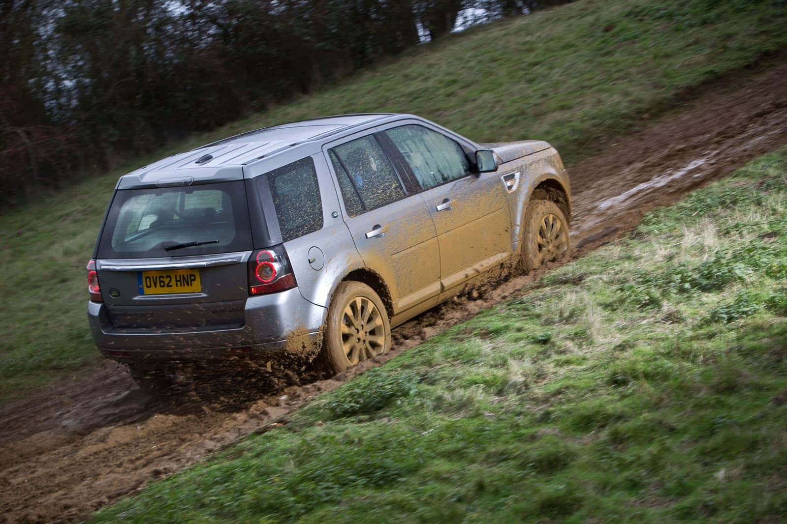 Land Rover Freelander 桌布 壁紙 — 一輛銀色SUV在樹木背景的草地上濺起厚泥行駛。