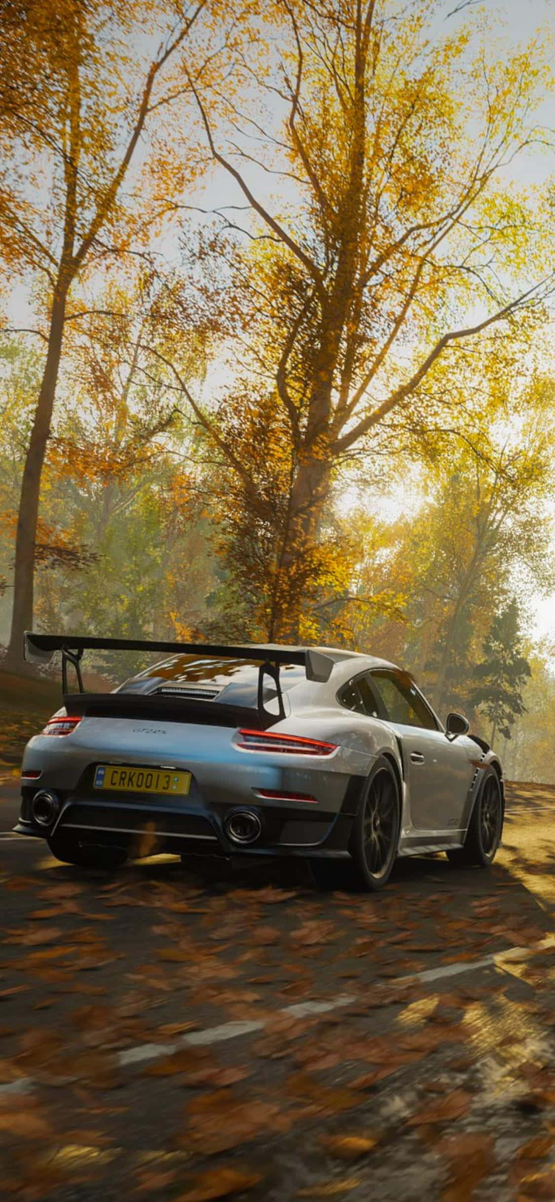 iPhone Xs Forza Horizon 4 桌布 壁紙 — 一輛銀色保時捷911 GT2 RS在陽光明媚的秋日森林中疾馳，金色樹葉在輪胎周圍旋轉。