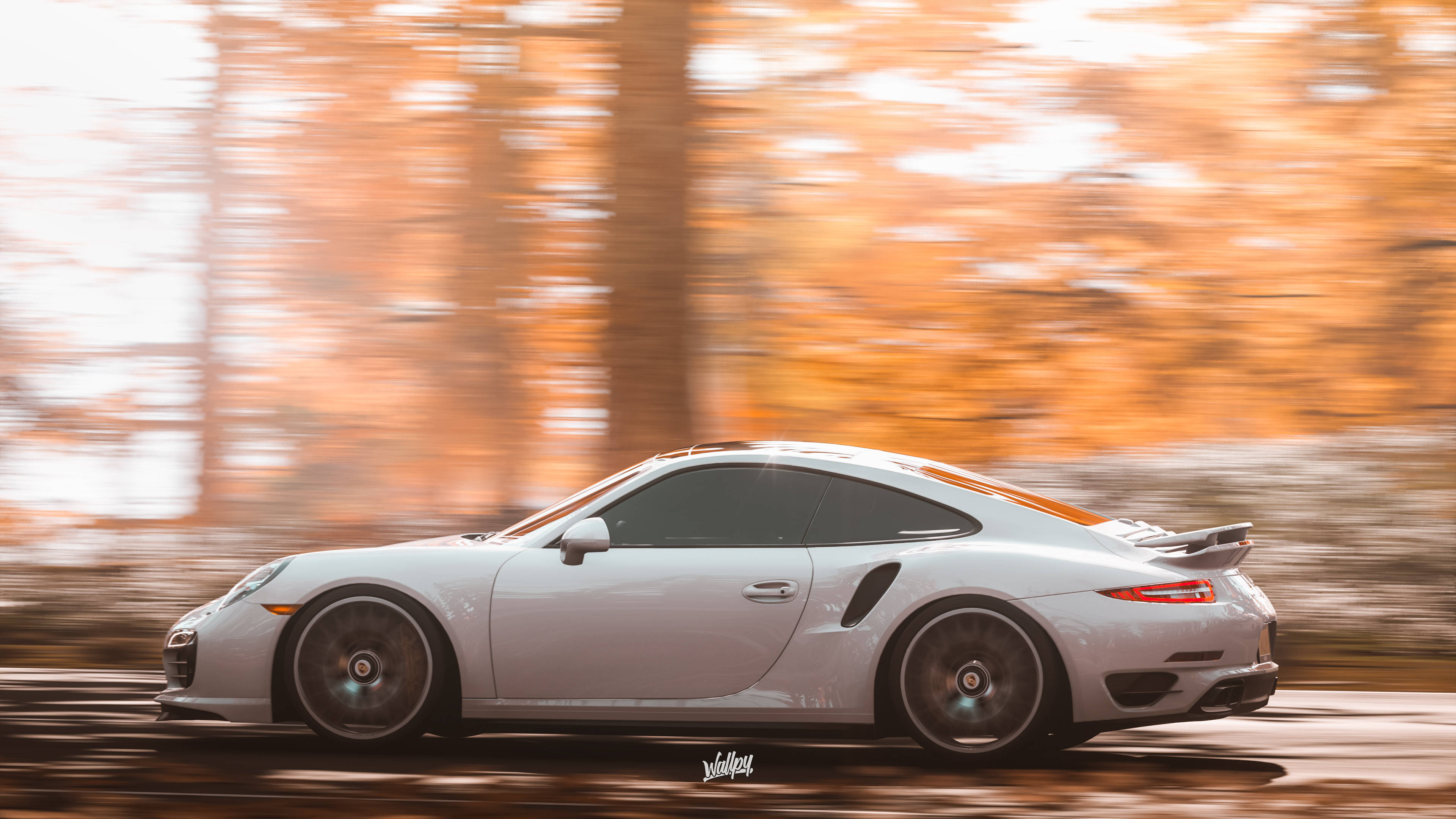 Horizon 桌布 壁紙 — 一輛銀色保時捷911 GT3 RS在金色秋林中疾馳，模糊的樹葉掠過。