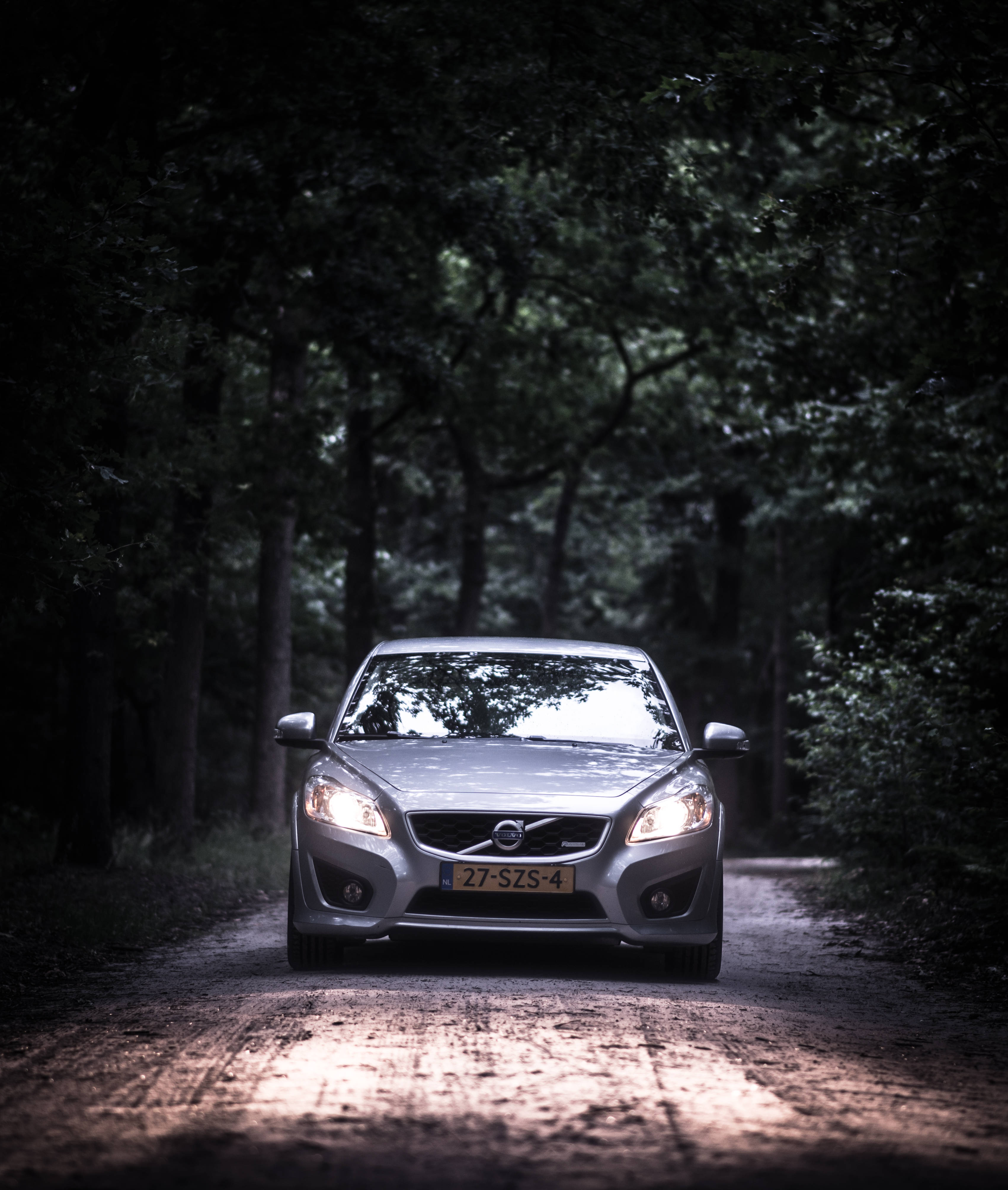 Volvo 桌布 壁紙 — 一輛銀色富豪汽車的車頭燈照亮了一條狹窄的森林小徑，周圍是茂密的樹木，光線昏暗。