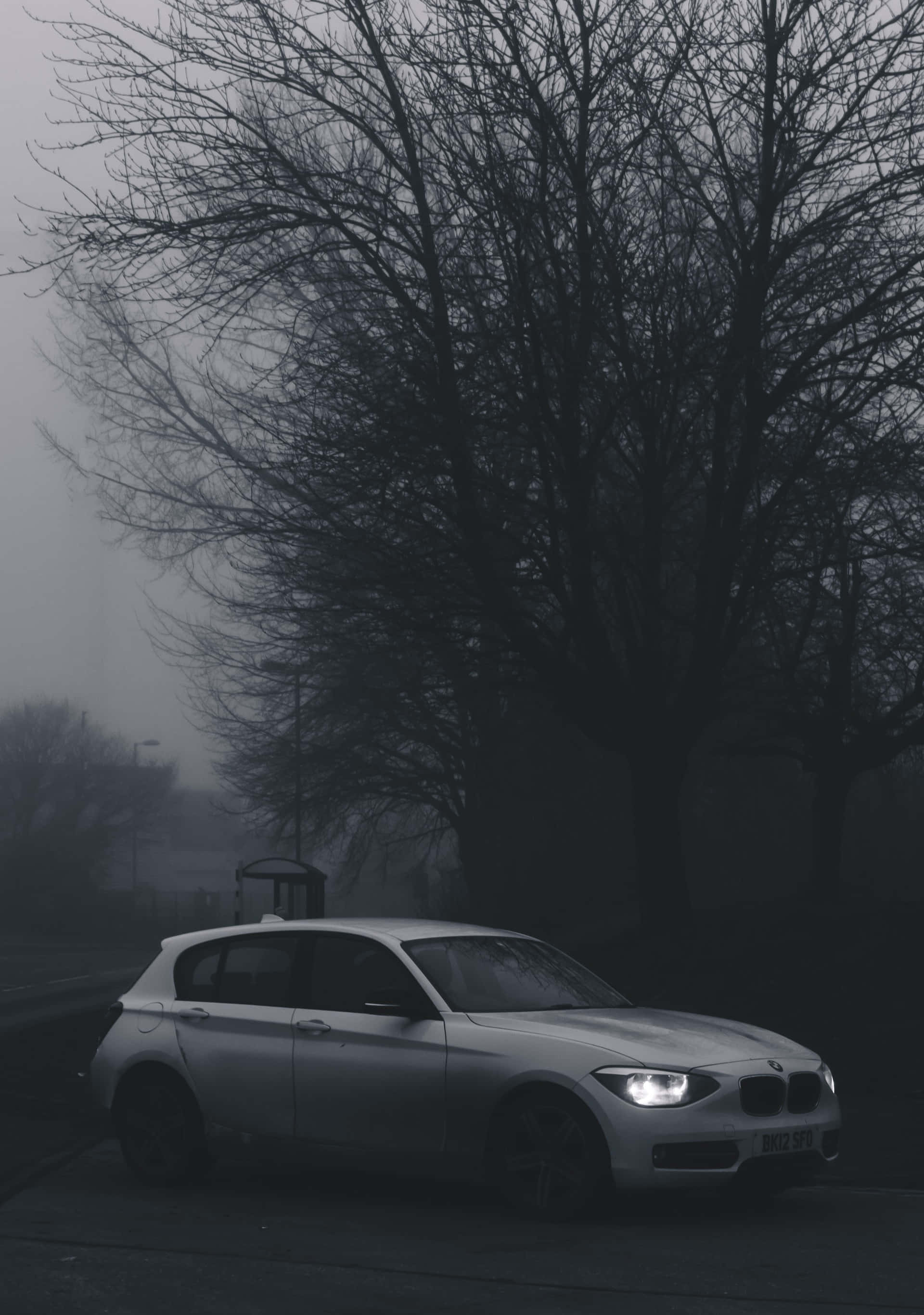 Black And White Car 桌布 壁紙 — 一輛銀色汽車亮著車頭燈，停泊在霧氣瀰漫的街道上，旁邊是光禿禿的樹木，營造出憂鬱的冬日場景。