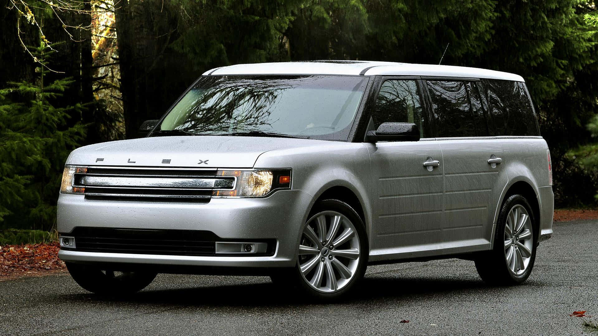 Ford Flex 桌布 壁紙 — 一輛銀色福特Flex SUV停泊在碎石路上，周圍是茂密的綠色森林，地上有落葉。