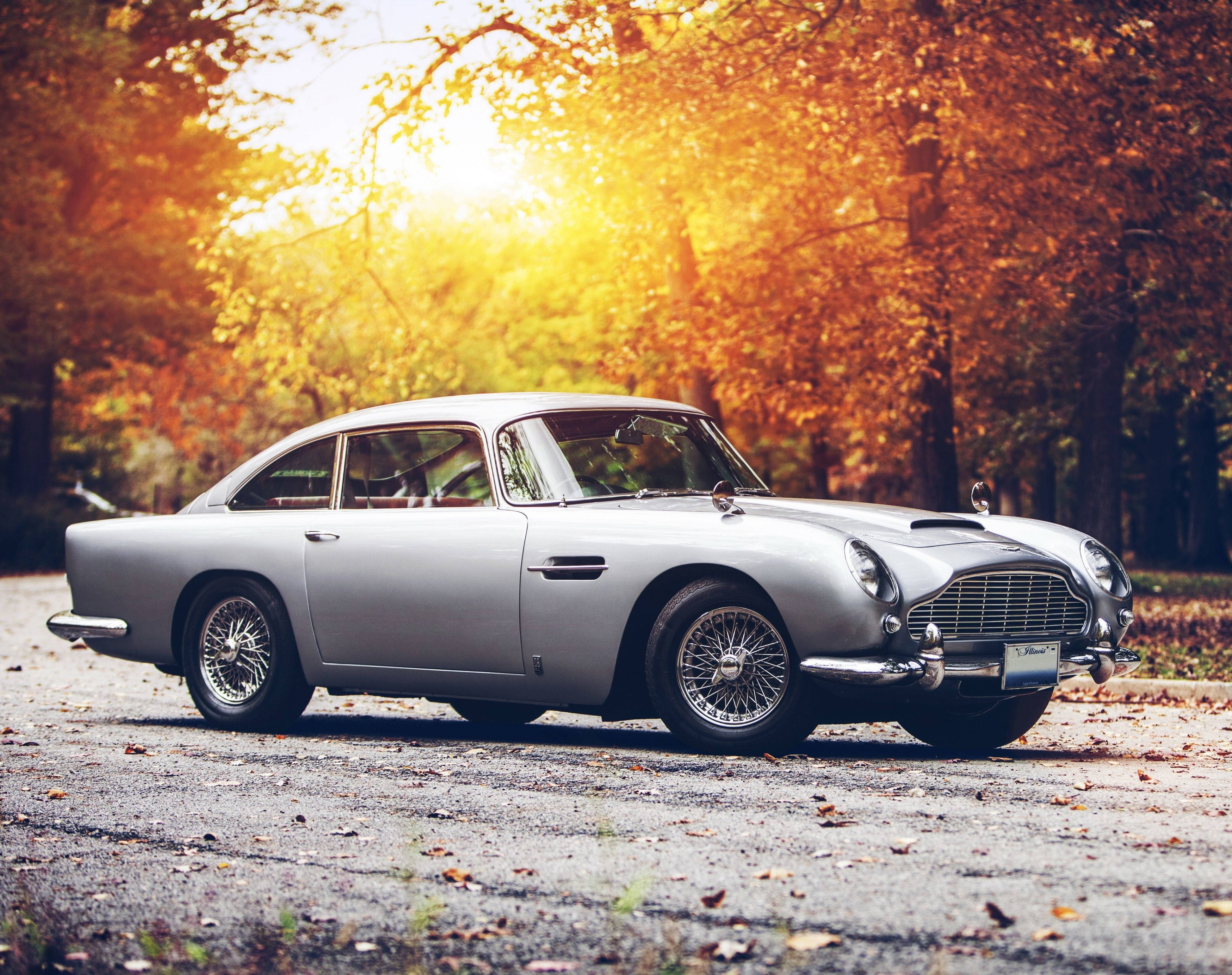 經典汽車 桌布 壁紙 — 一輛銀色經典 Aston Martin DB5 停泊在落葉滿地的道路上，背景是金色秋樹和太陽眩光。