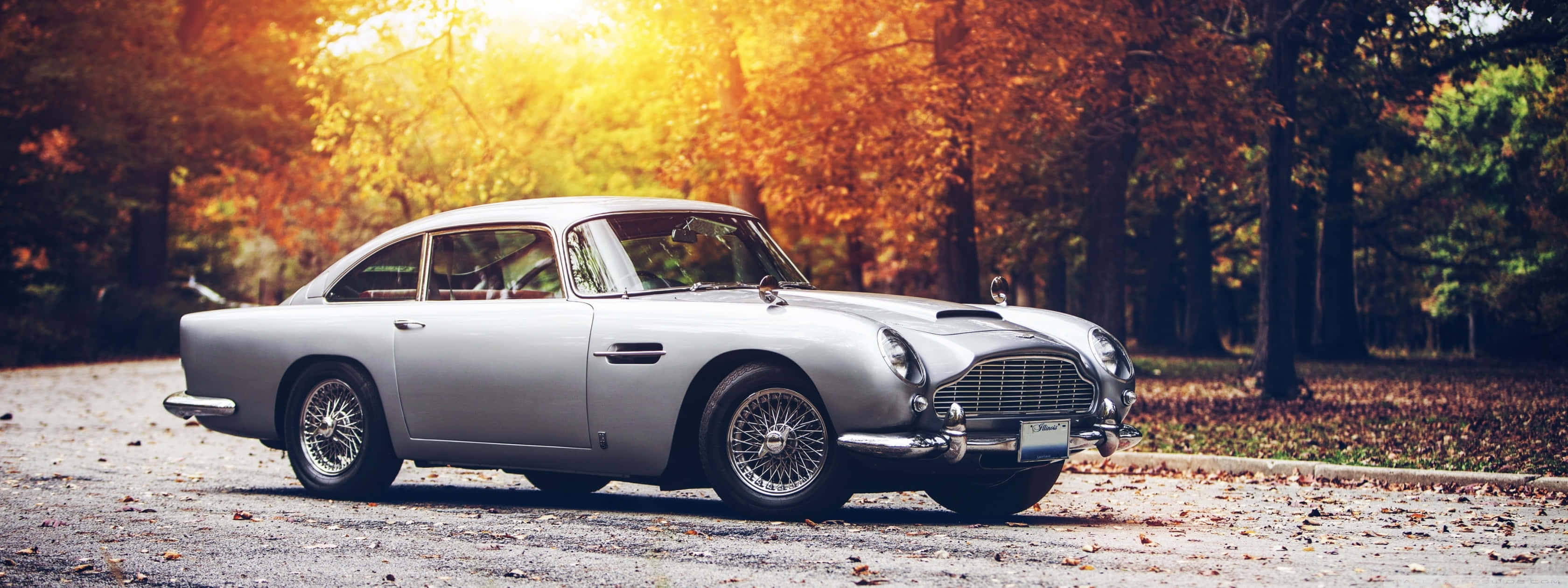 桌布 壁紙 — 一輛銀色經典 Aston Martin DB5 在金色秋陽下，穿過橙黃和棕色樹葉的森林，閃閃發光。