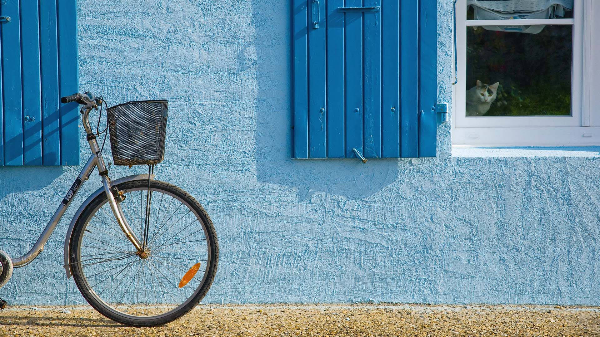 Bicycle 桌布 壁紙 — 一輛銀色自行車帶有籃子，靠在一面有紋理的藍色牆上，旁邊的窗戶裡有一隻貓好奇地看著。