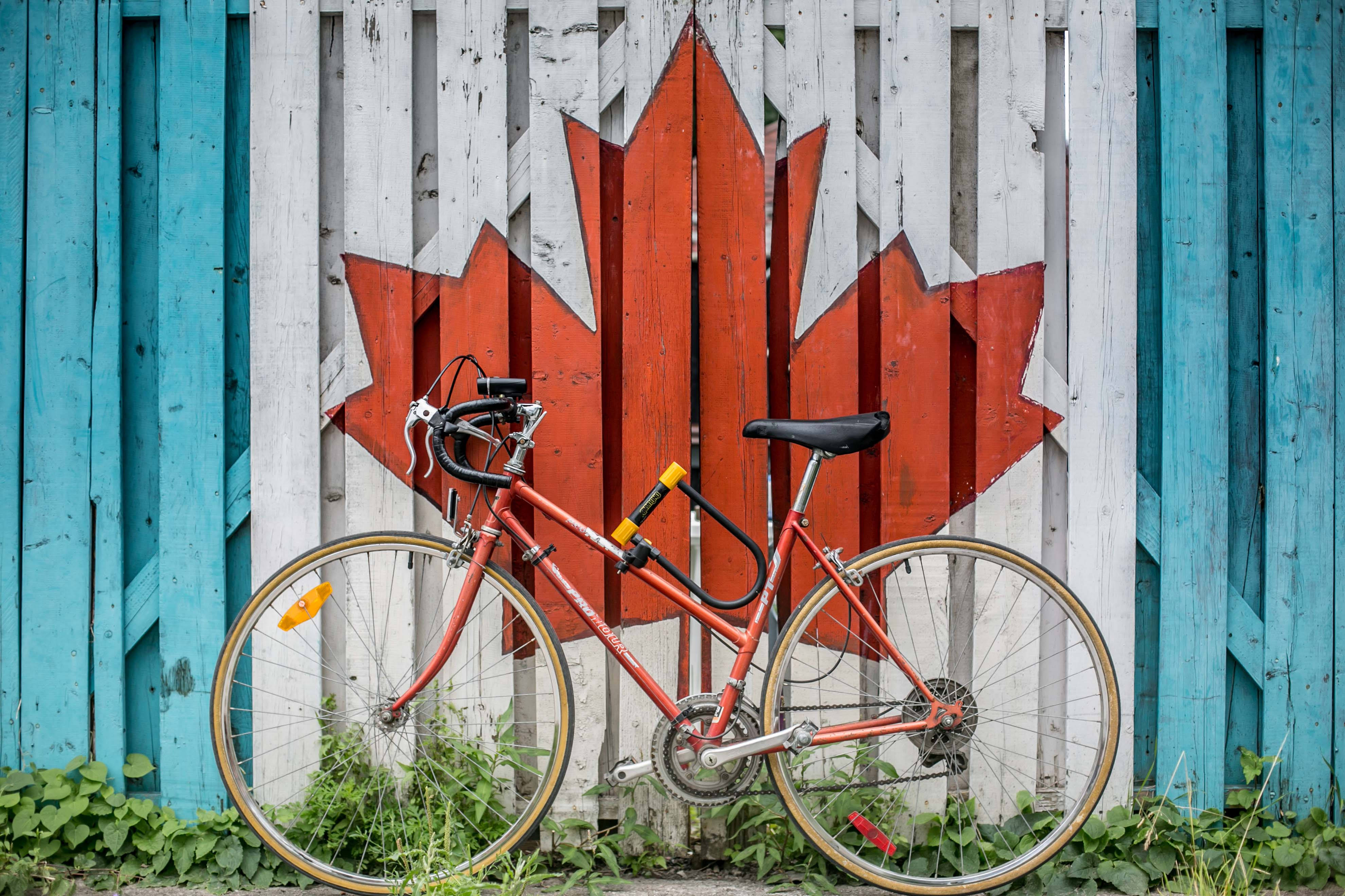 Canada Flag 桌布 壁紙 — 一輛鏽橙色的自行車靠在一幅經風化的圍欄上，圍欄上繪有鮮明的紅色楓葉和藍色側面。