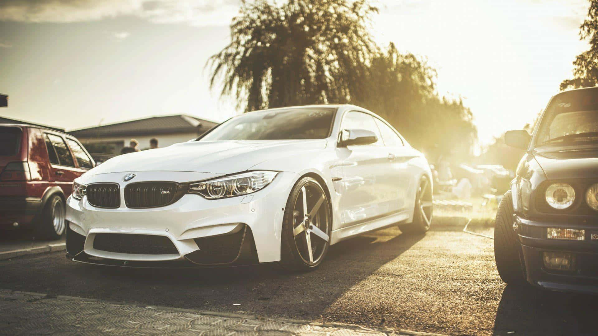 1920x1080 Bmw 桌布 壁紙 — 一輛閃亮的白色BMW M4雙門轎跑車停放在戶外，沐浴在金黃色的日落光線中，附近有樹木和其他汽車。