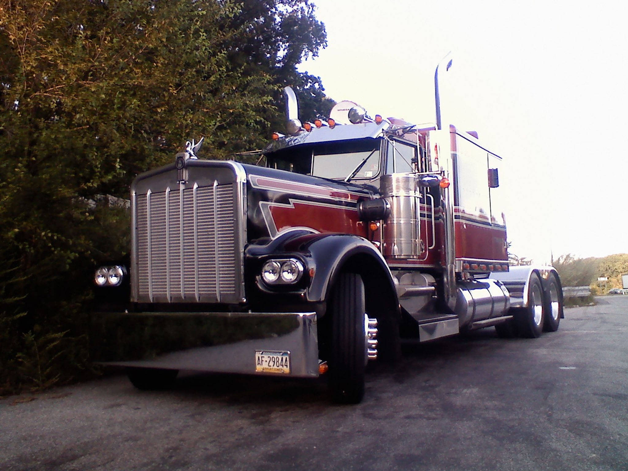 Kenworth W900 桌布 壁紙 — 一輛閃亮的紅色和鍍鉻半掛卡車停在柏油路上，旁邊是枝葉茂密的樹木，在柔和日光下。