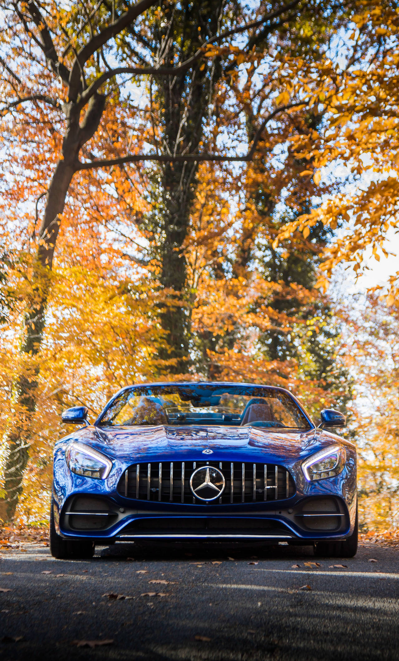 賓士 iPhone 桌布 壁紙 — 一輛閃亮的藍色 Mercedes-AMG GT Roadster 停泊在金黃色的秋樹下，路上有落葉。