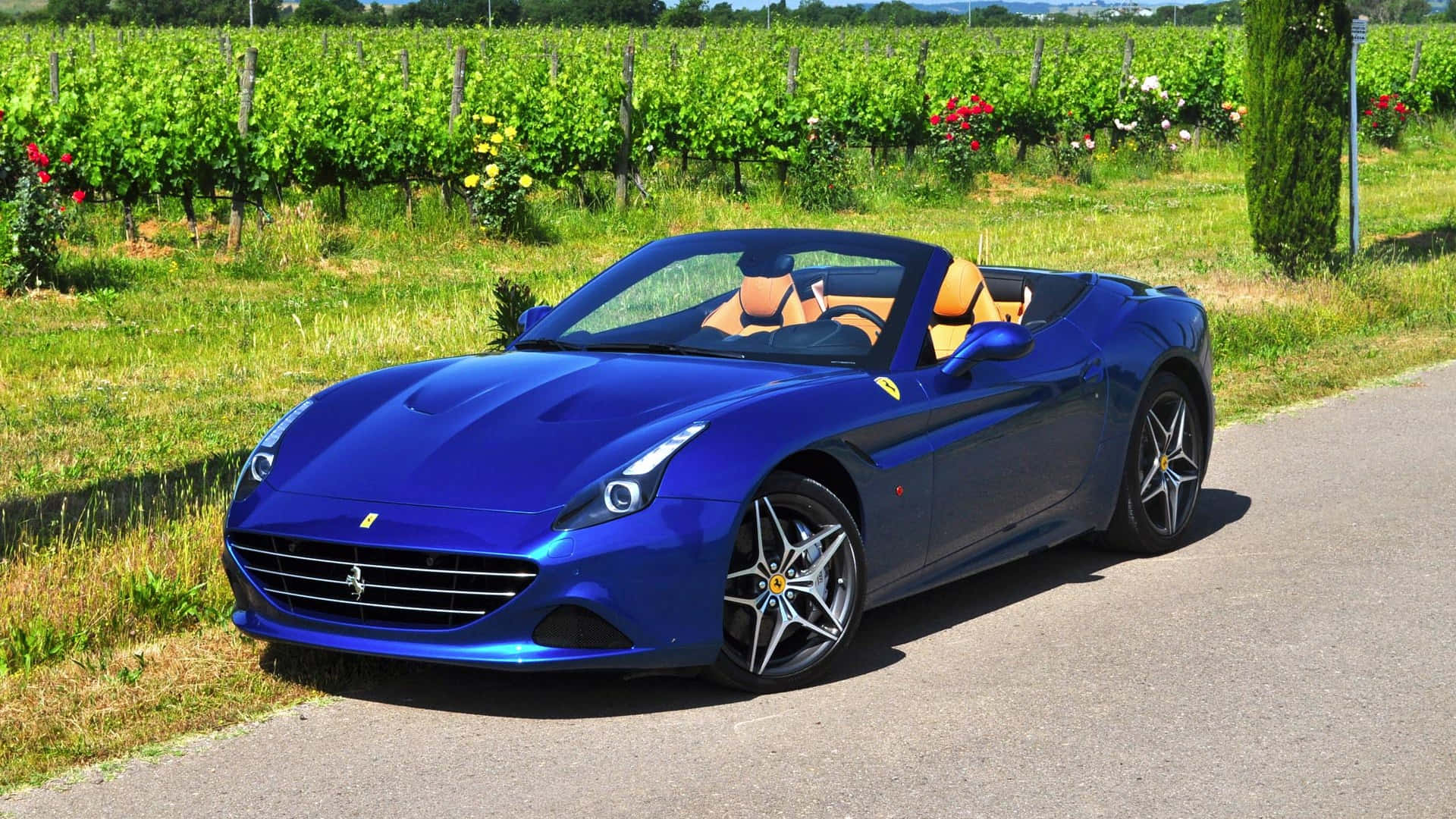Ferrari California T 桌布 壁紙 — 一輛閃亮的藍色法拉利California敞篷車停放在陽光明媚的鄉村道路旁，旁邊是茂密的綠色葡萄園。
