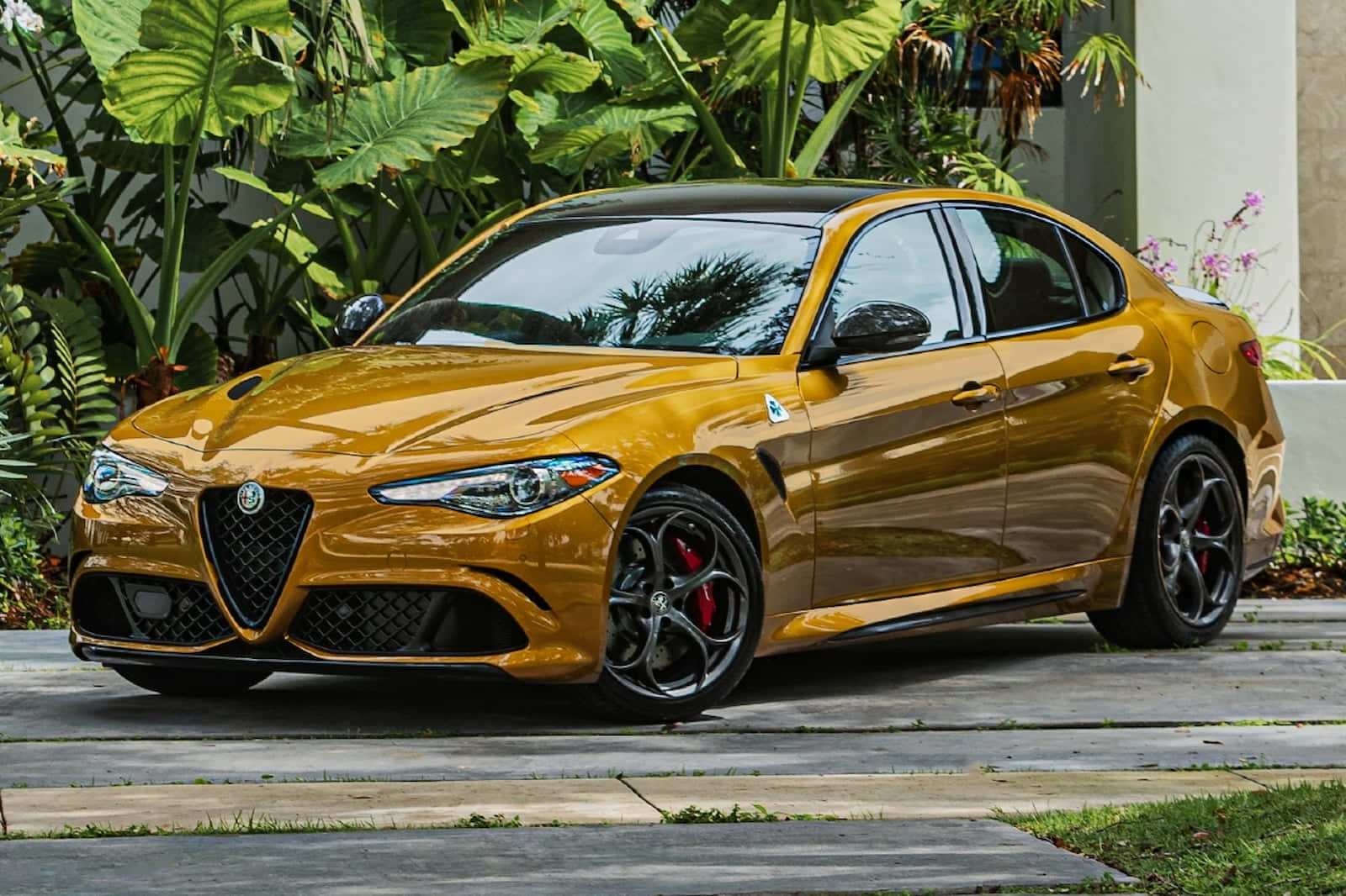 愛快羅密歐 桌布 壁紙 — 一輛閃亮的金色Alfa Romeo轎車，帶有黑色飾邊和紅色制動卡鉗，停在石徑上，旁邊是茂密的熱帶植物。
