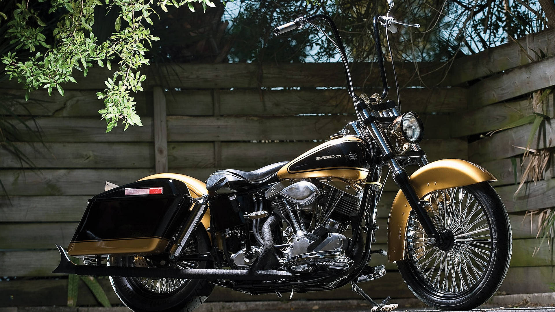 Harley 桌布 壁紙 — 一輛閃亮的金色和黑色Harley-Davidson機車停泊在枝葉茂密的樹枝下，旁邊是飽經風霜的木柵欄。
