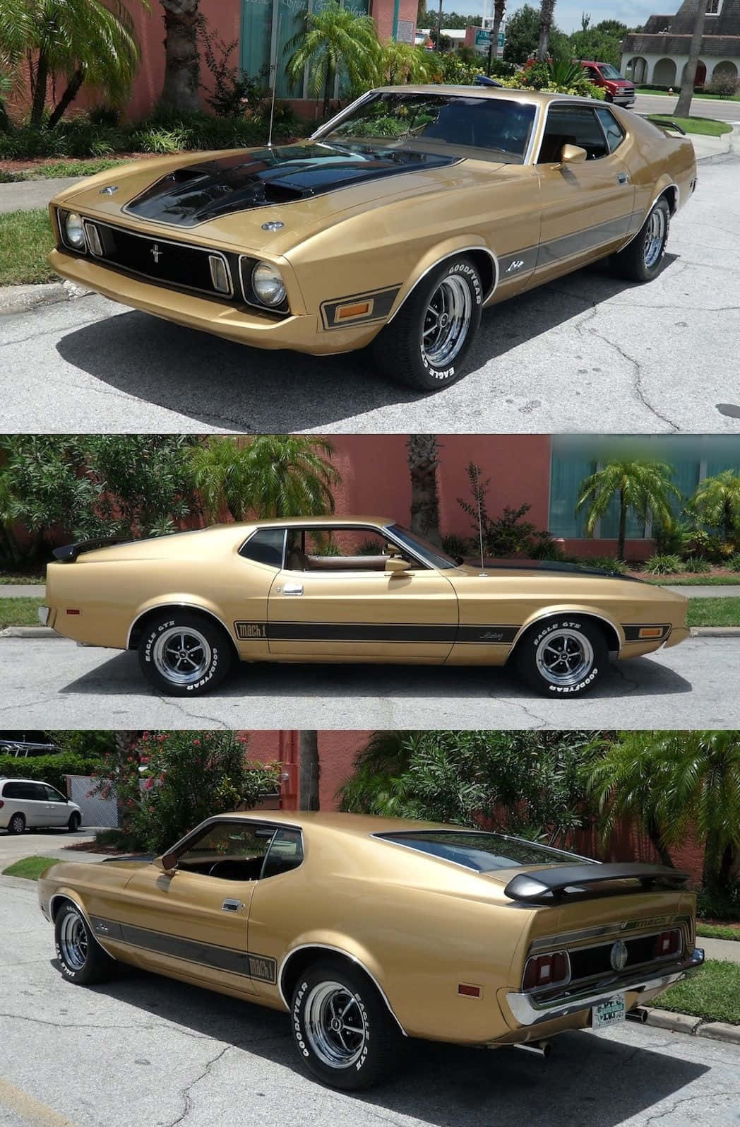 Muscle Cars 桌布 壁紙 — 一輛閃亮的金色福特野馬 Mach 1，帶有黑色賽車條紋，停在陽光明媚的住宅街道上。