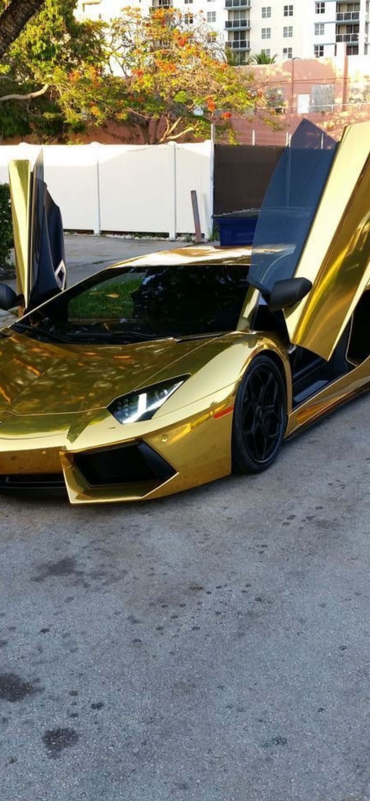 Lamborghini Phone 桌布 壁紙 — 一輛閃亮的金色藍寶堅尼，剪刀門打開，停在柏油路面上，在明亮的日光下。