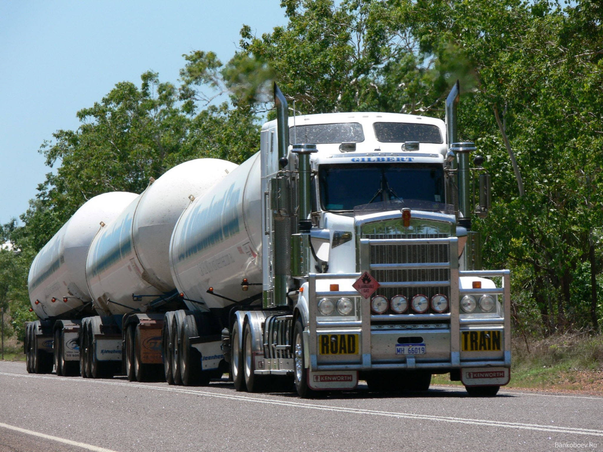 Kenworth W900 桌布 壁紙 — 一輛閃亮的銀色 Kenworth 油罐車拖著三個大型圓柱形油罐，行駛在陽光普照、兩旁綠樹成蔭的高速公路上。