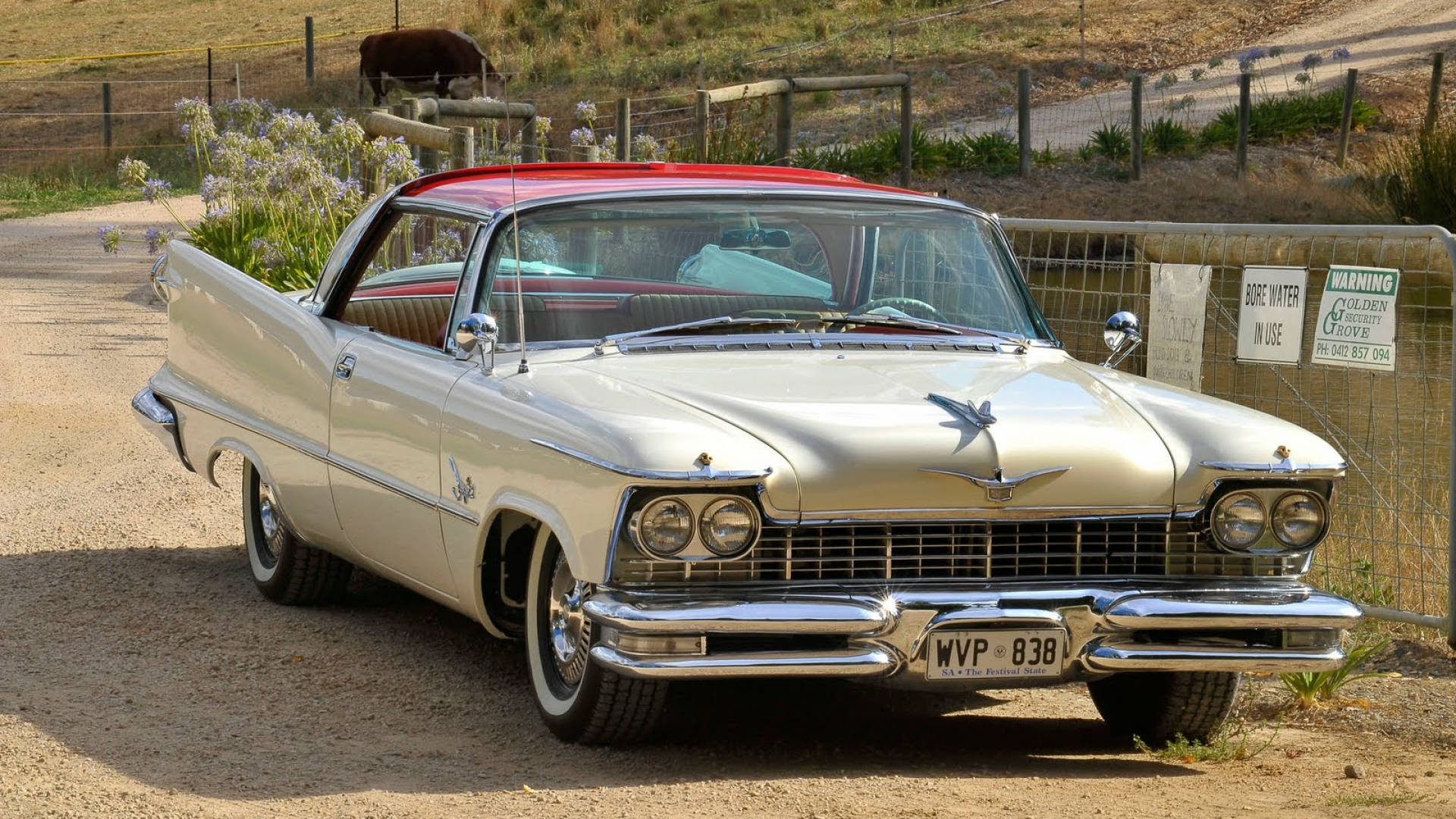 Chrysler 桌布 壁紙 — 一輛閃亮的銀色1950年代凱迪拉克，紅色車頂，停泊在泥路旁，籬笆邊有一頭牛在背景中吃草。