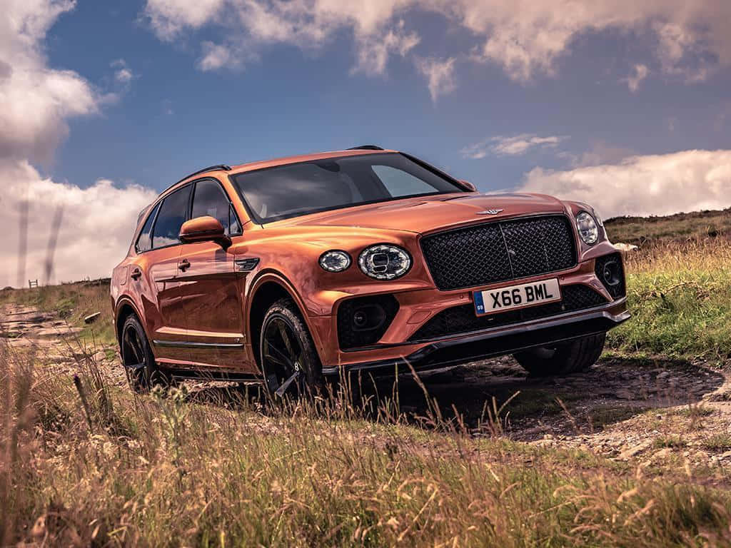 Bentley Bentayga 桌布 壁紙 — 一輛閃亮的銅色賓利Bentayga SUV停泊在部分多雲的藍天下的一條草地泥路上。