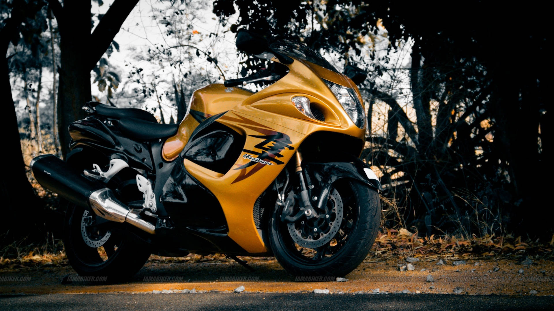 Suzuki 桌布 壁紙 — 一輛閃亮金色跑車機車停放在路邊，樹下有秋葉。