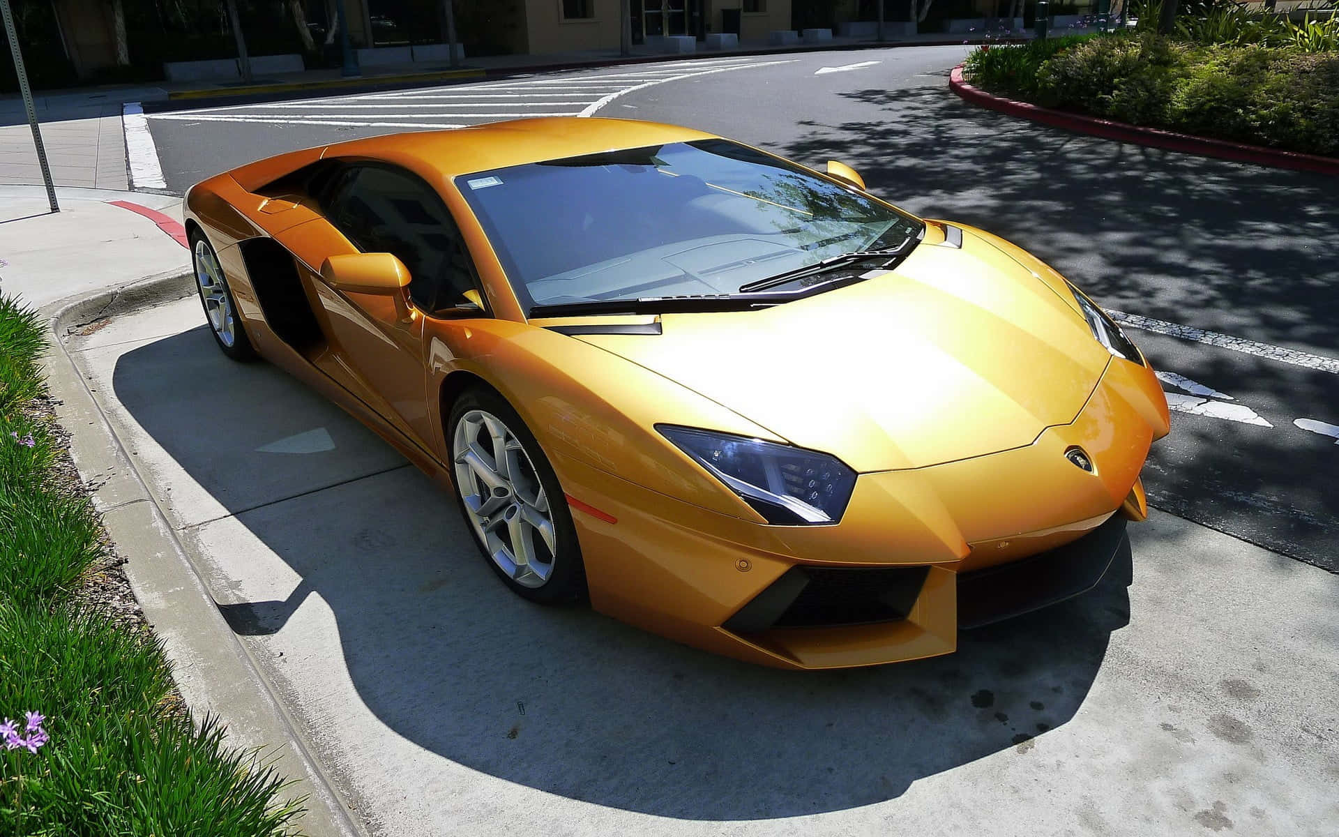 Gold Lamborghini 桌布 壁紙 — 一輛閃閃發光的金色藍寶堅尼 Aventador 停在陽光明媚的人行道上，投射出清晰的陰影。
