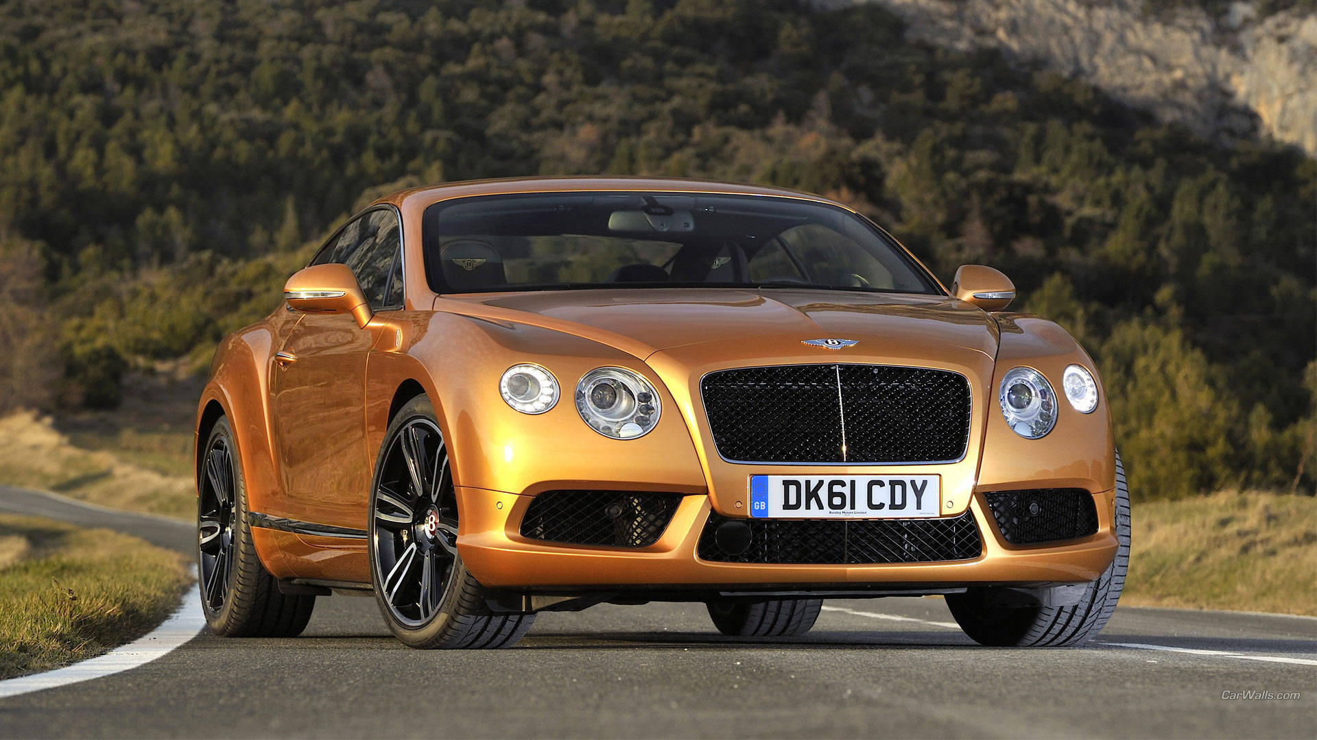 bentley HD 桌布 壁紙 — 一輛閃閃發光的金色賓利 Continental GT 雙門跑車沿著蜿蜒的山路行駛，背景是森林覆蓋的山丘。