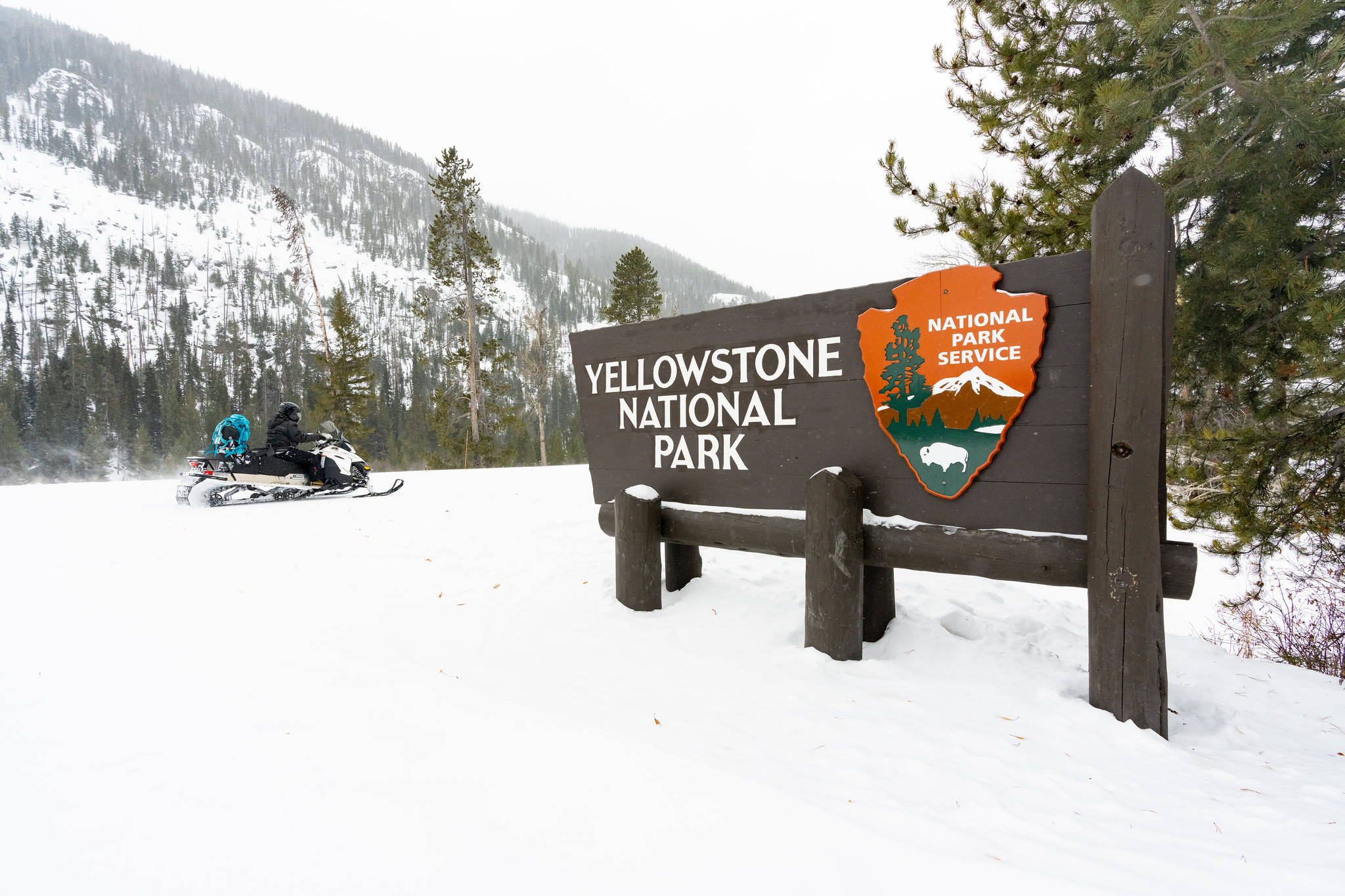 Yellowstone 桌布 壁紙 — 一輛雪地摩托車停放在黃石國家公園的木製標誌旁，背景是白雪覆蓋的森林山景。