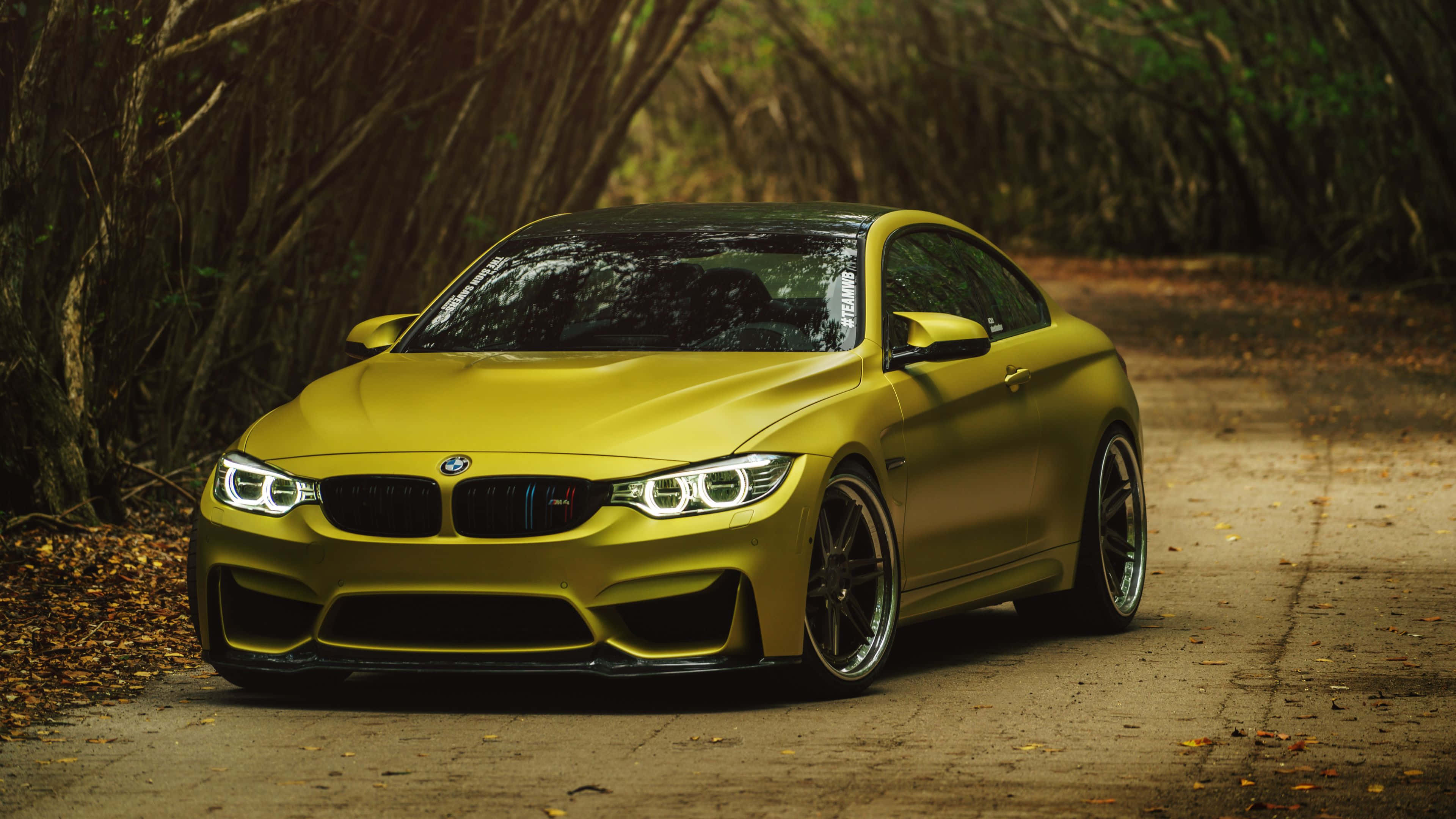 BMW 動圖 桌布 壁紙 — 一輛霧面黃色BMW M4雙門跑車停泊在森林小徑上，周圍是高聳的樹木和落葉。