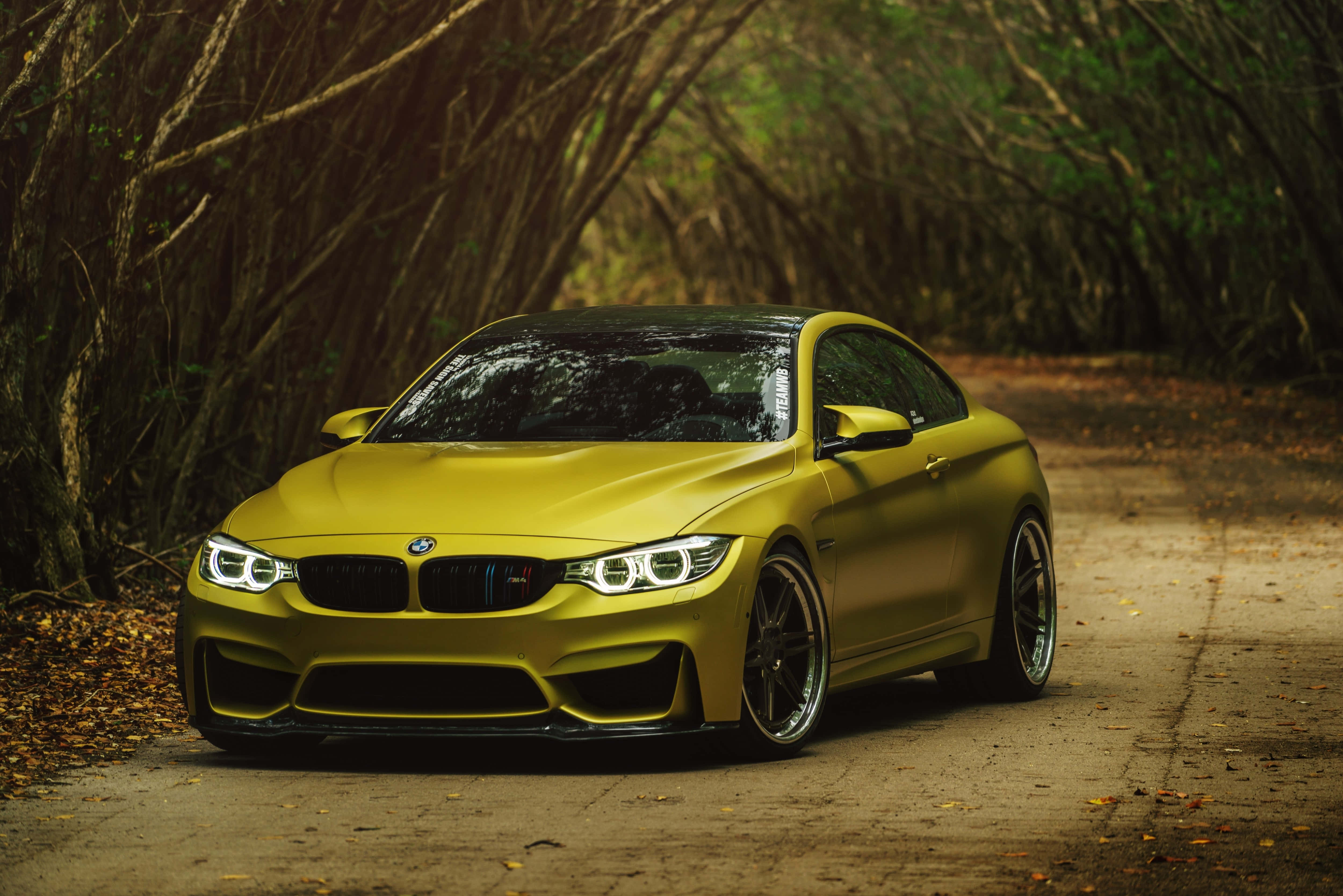 Gold Cars 桌布 壁紙 — 一輛霧面黃色BMW M4雙門跑車在斑駁的陽光下，在兩旁光禿樹木的森林泥路上閃閃發光。