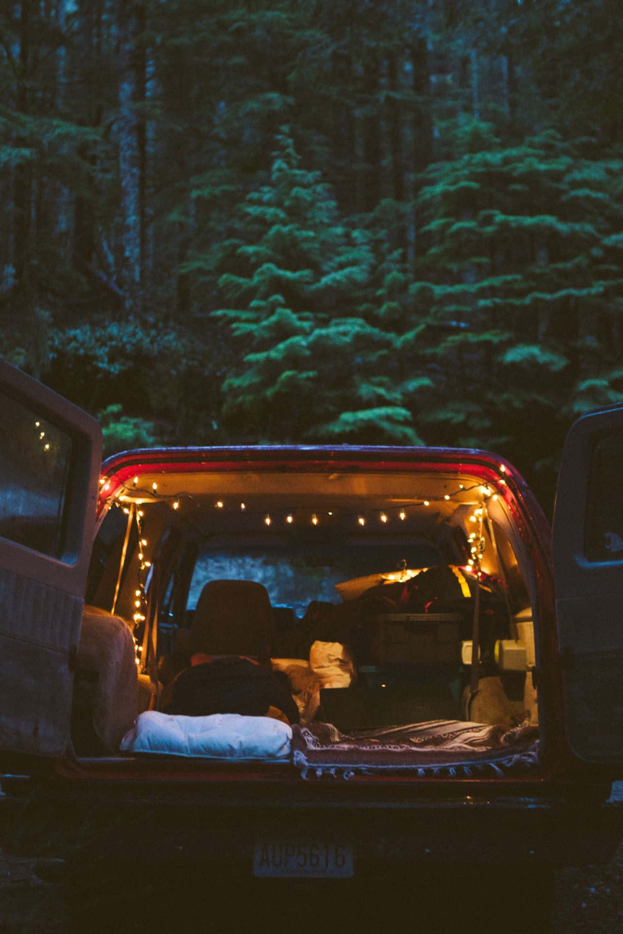 Winter Camping 桌布 壁紙 — 一輛露營車的打開後部，在夜晚的黑暗森林中，顯露出一個由串燈照亮的舒適露營地。