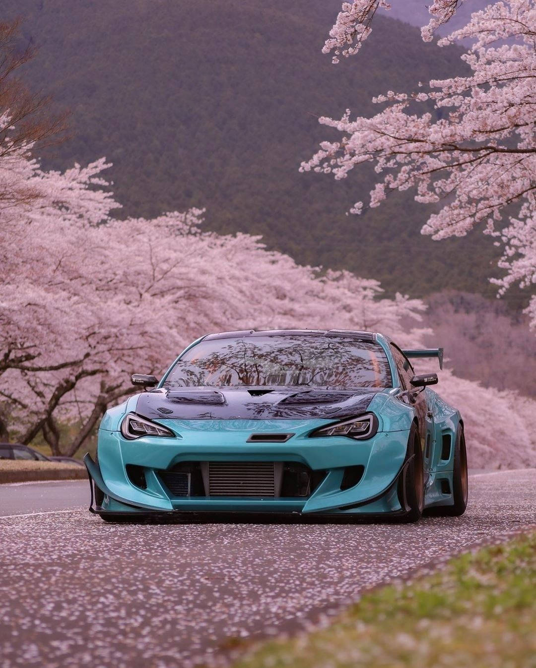 Auto Racing 桌布 壁紙 — 一輛青綠色飄移車停放在盛開粉紅櫻花的山路旁。