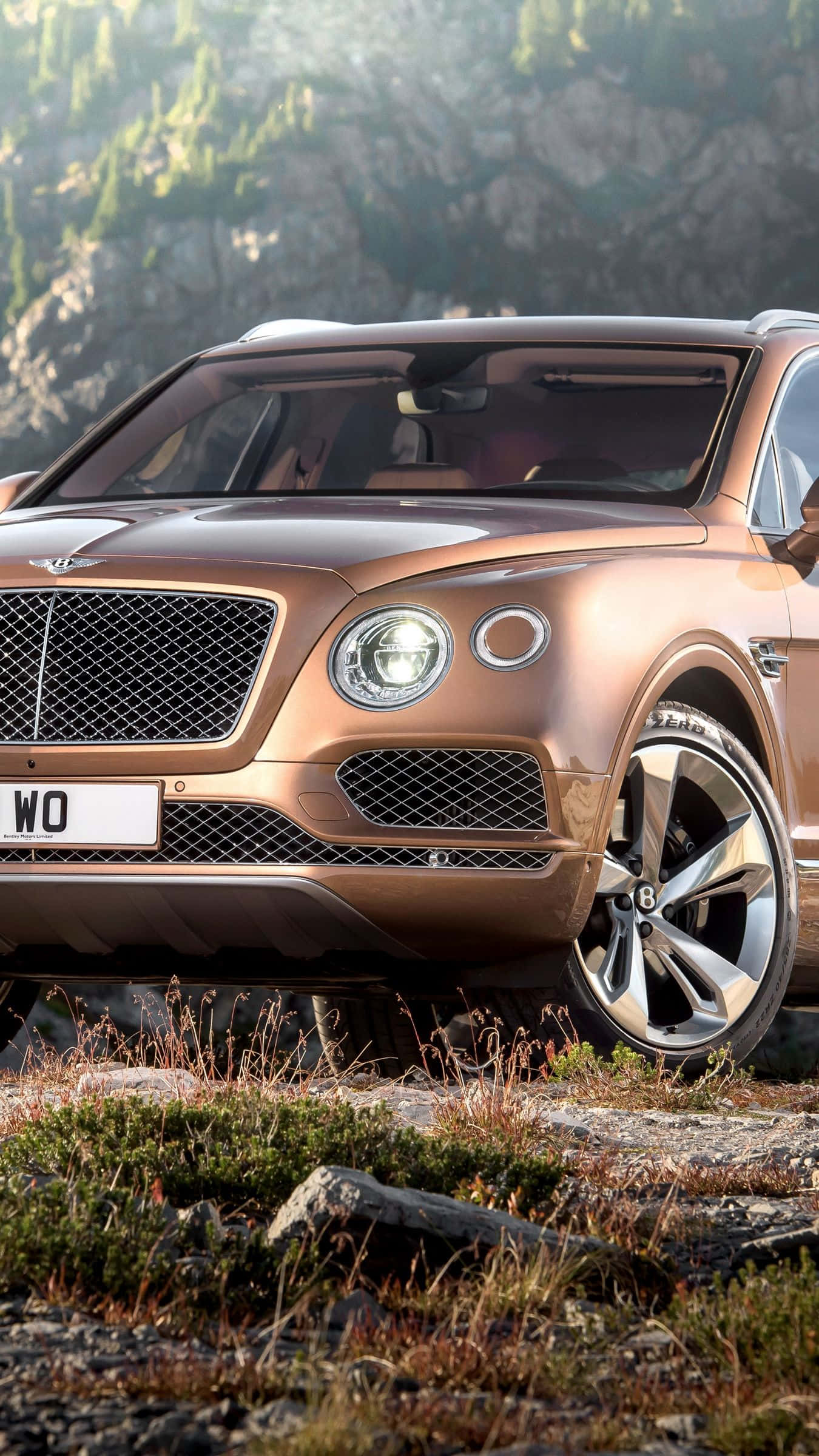 Car Phone 桌布 壁紙 — 一輛青銅色賓利Bentayga SUV停放在岩石地形上，背景是陽光普照的森林山脈。