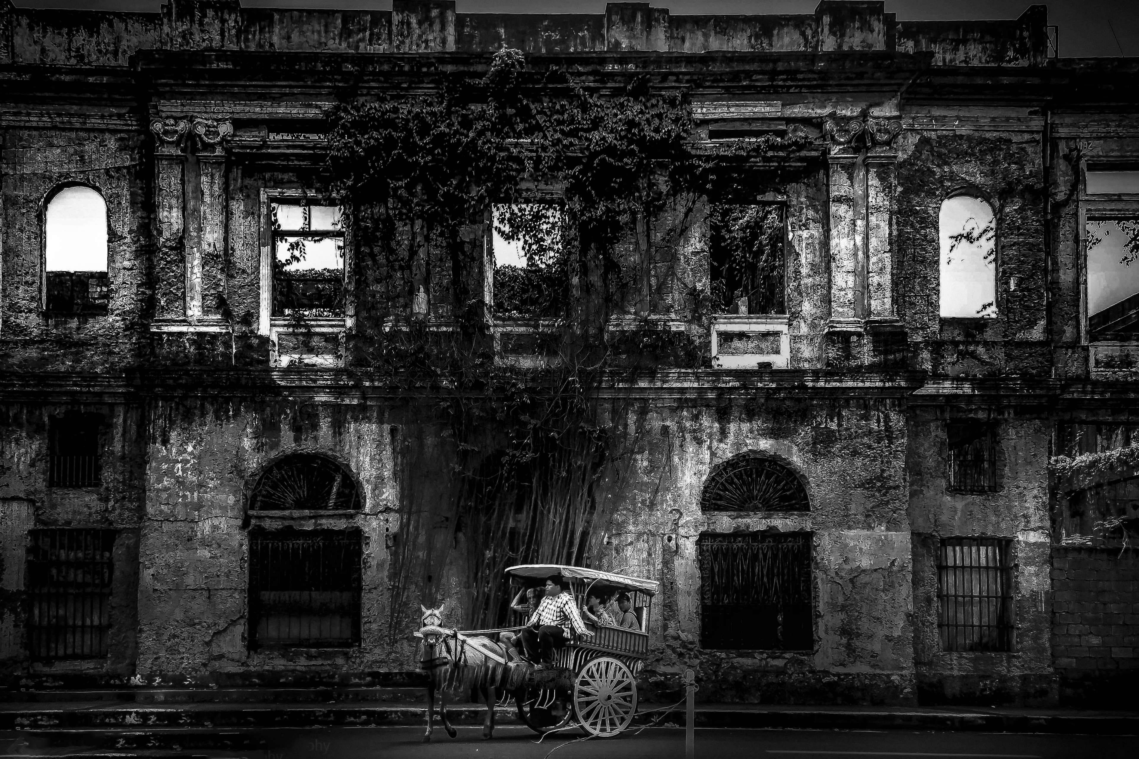 Manila 桌布 壁紙 — 一輛馬車在單色調中經過一座風化的殖民建築，建築物被常春藤覆蓋。
