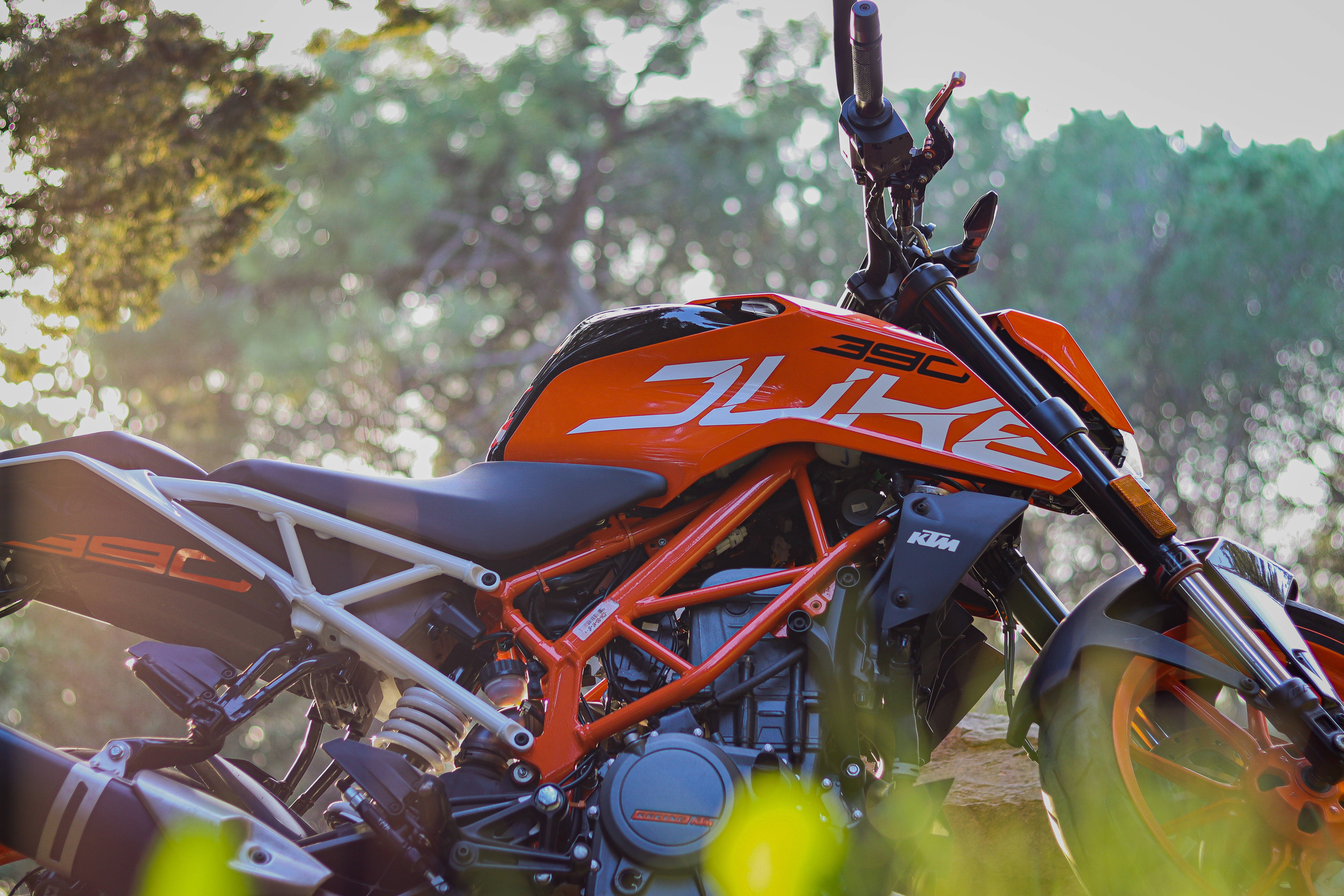 KTM 摩托車 桌布 壁紙 — 一輛鮮橙色的KTM Duke 390機車停泊在陽光明媚的森林中，背景有模糊的綠色樹葉。