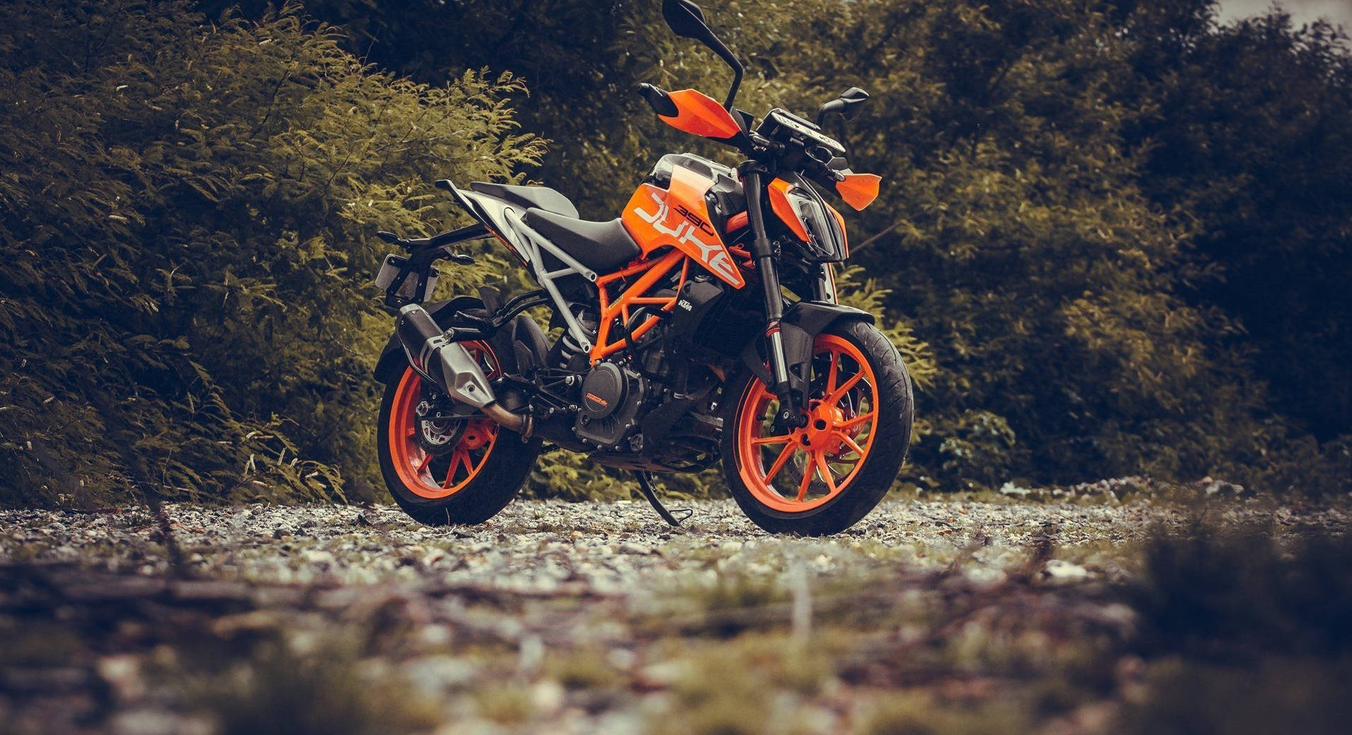  壁紙 — 一輛鮮橙色的KTM Duke摩托車停在碎石路上，周圍環繞著茂密的綠色樹葉。